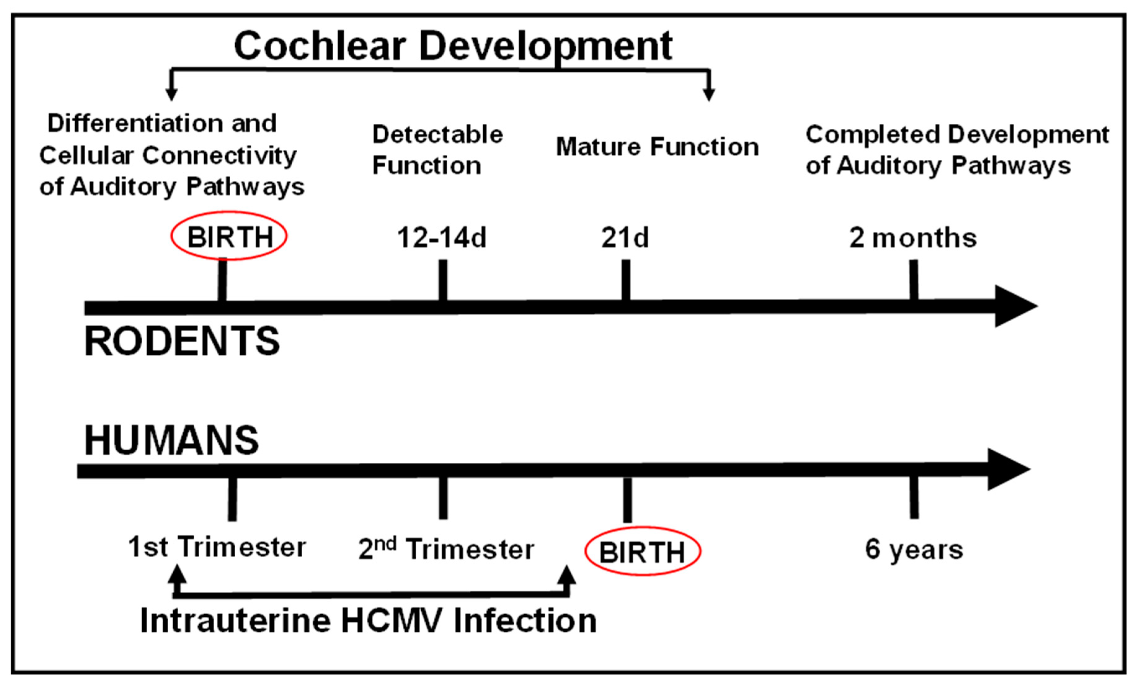 Pathogens 10 01062 g004