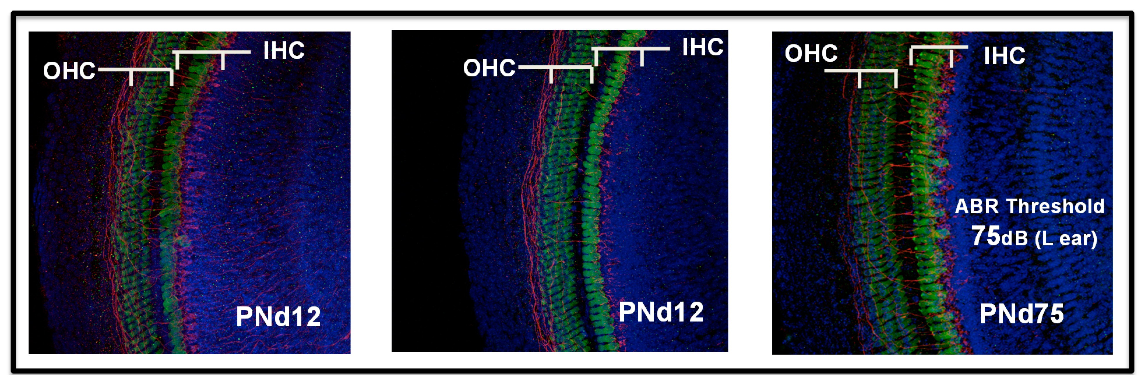 Pathogens 10 01062 g006