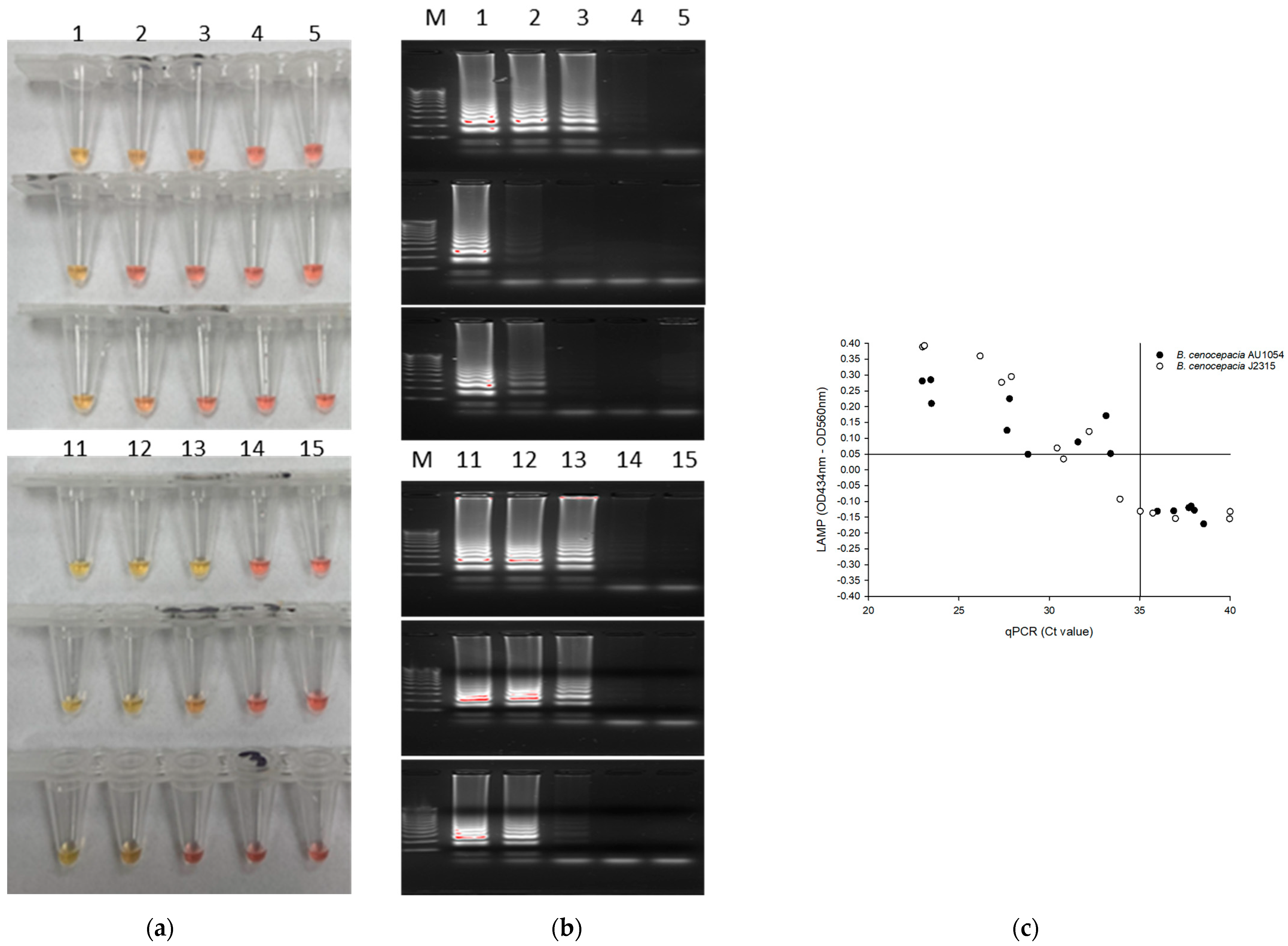 Pathogens 10 01071 g003