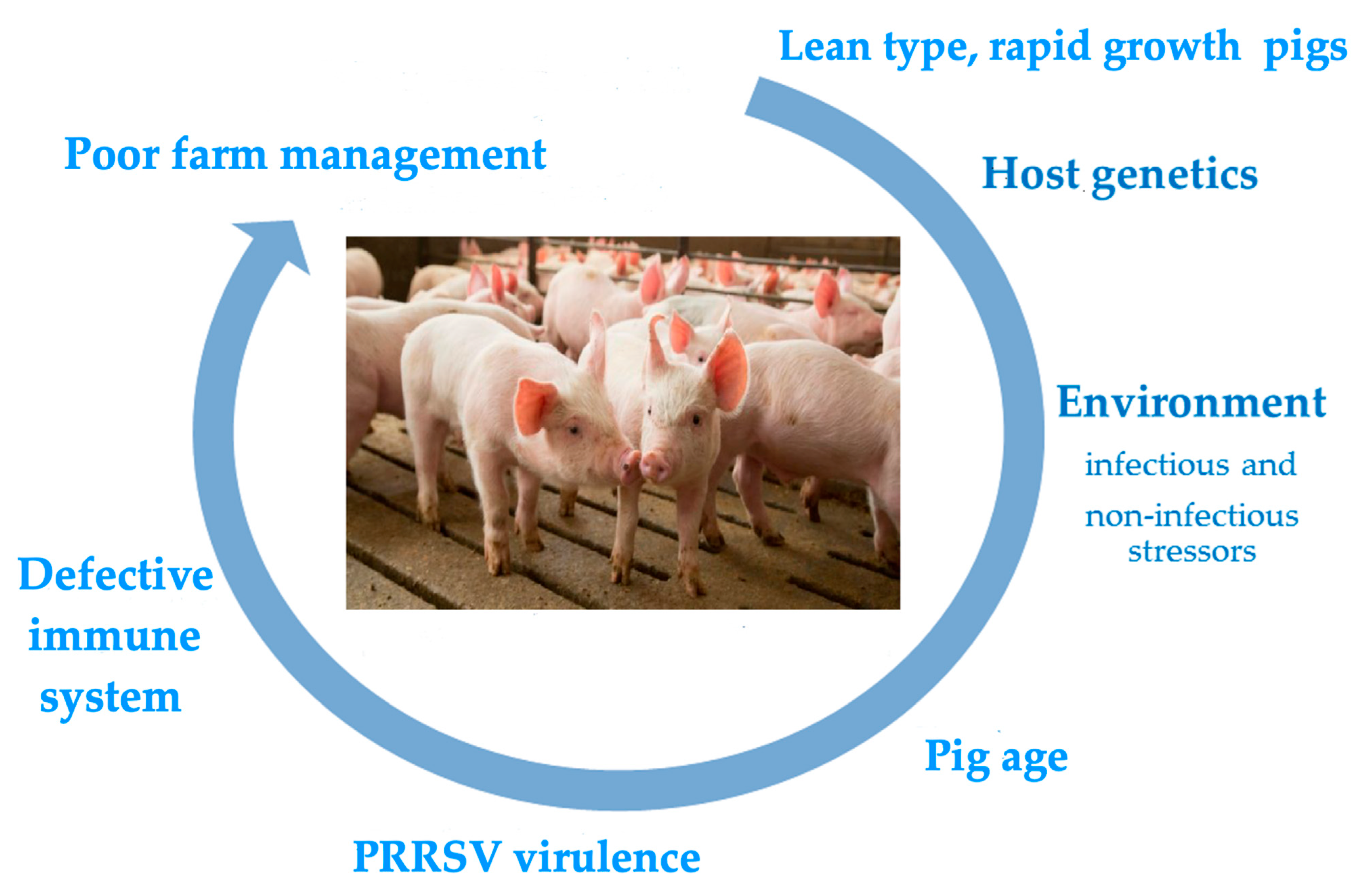 Pathogens 10 01073 g001