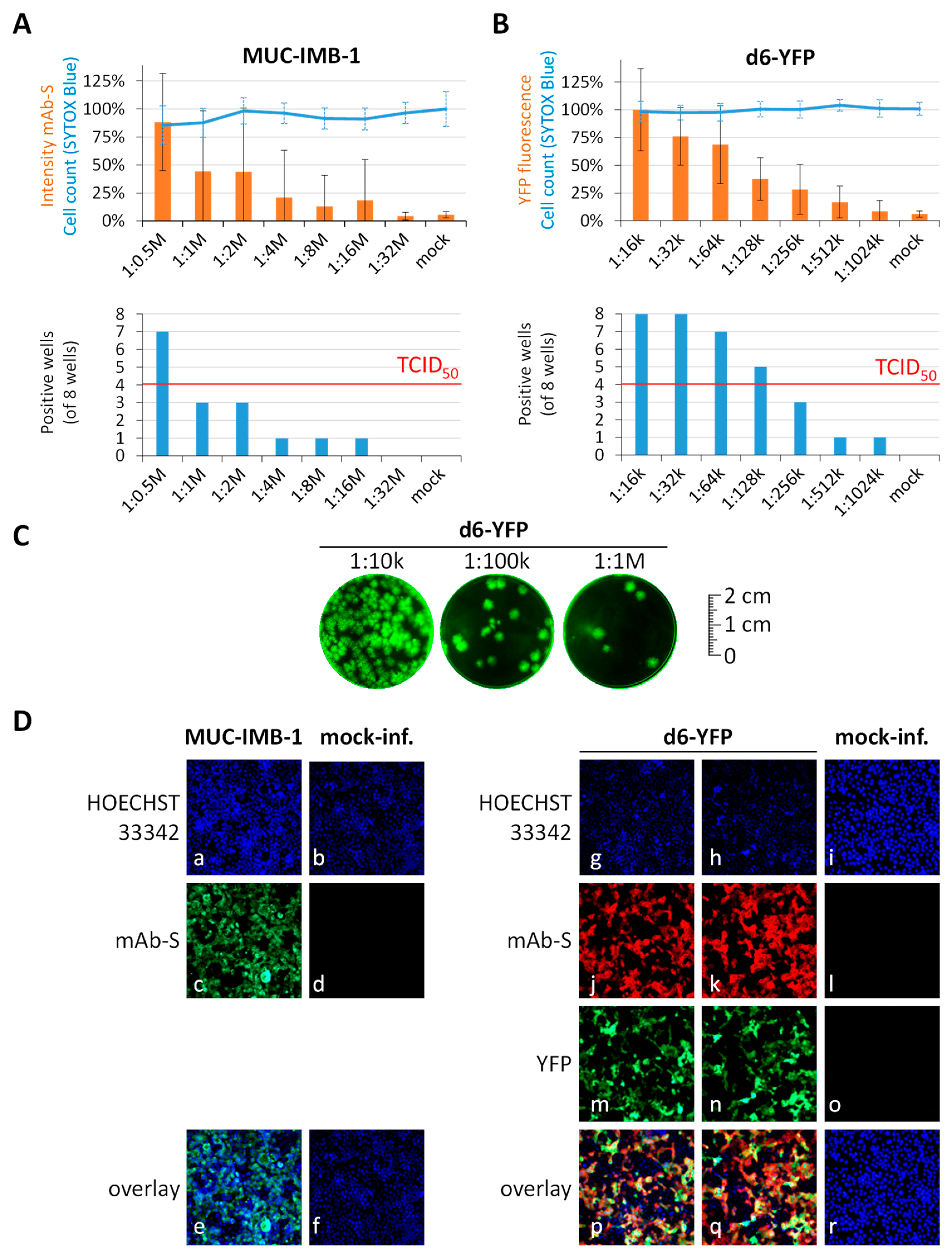 Pathogens 10 01076 g001 550