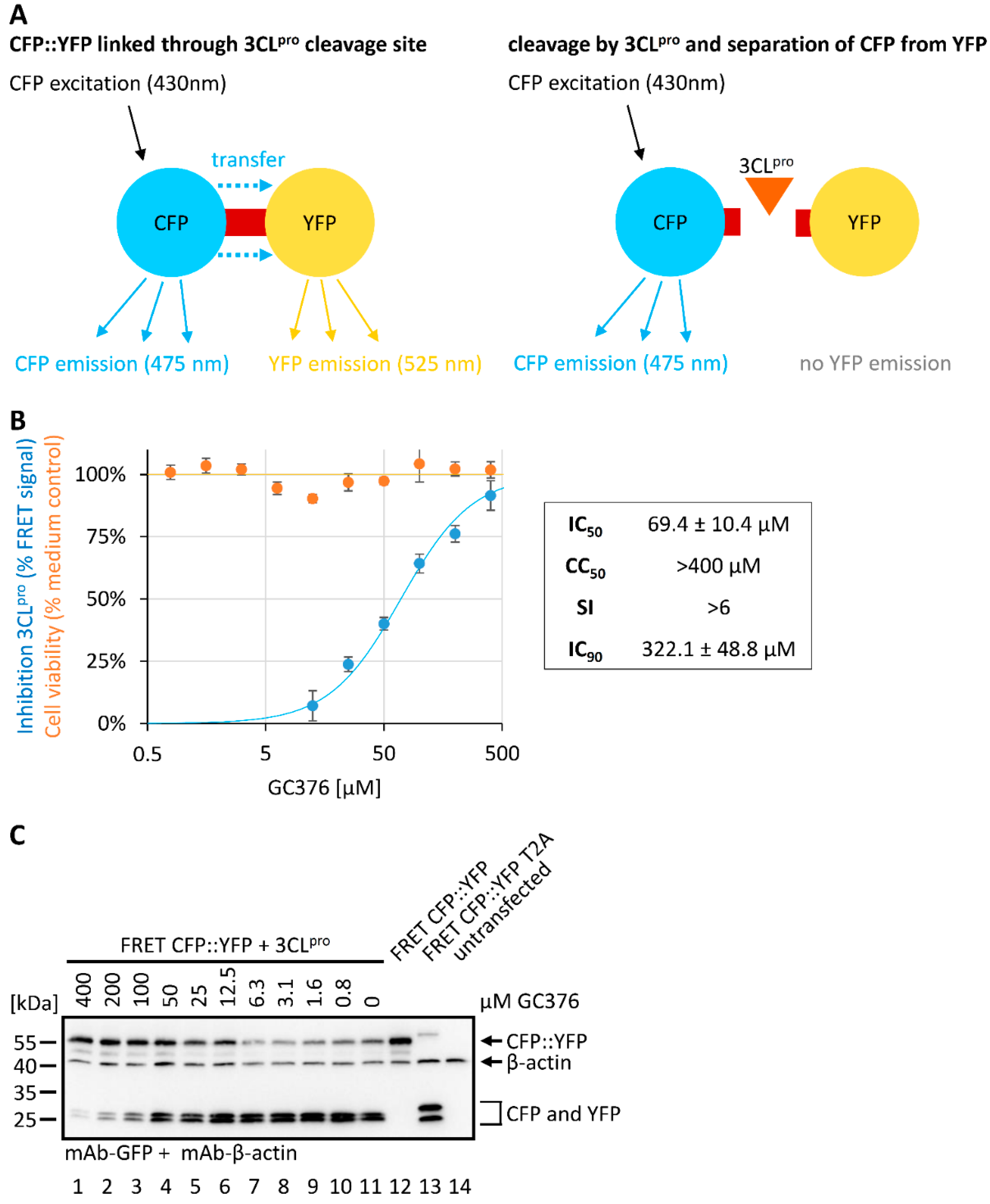 Pathogens 10 01076 g004 550