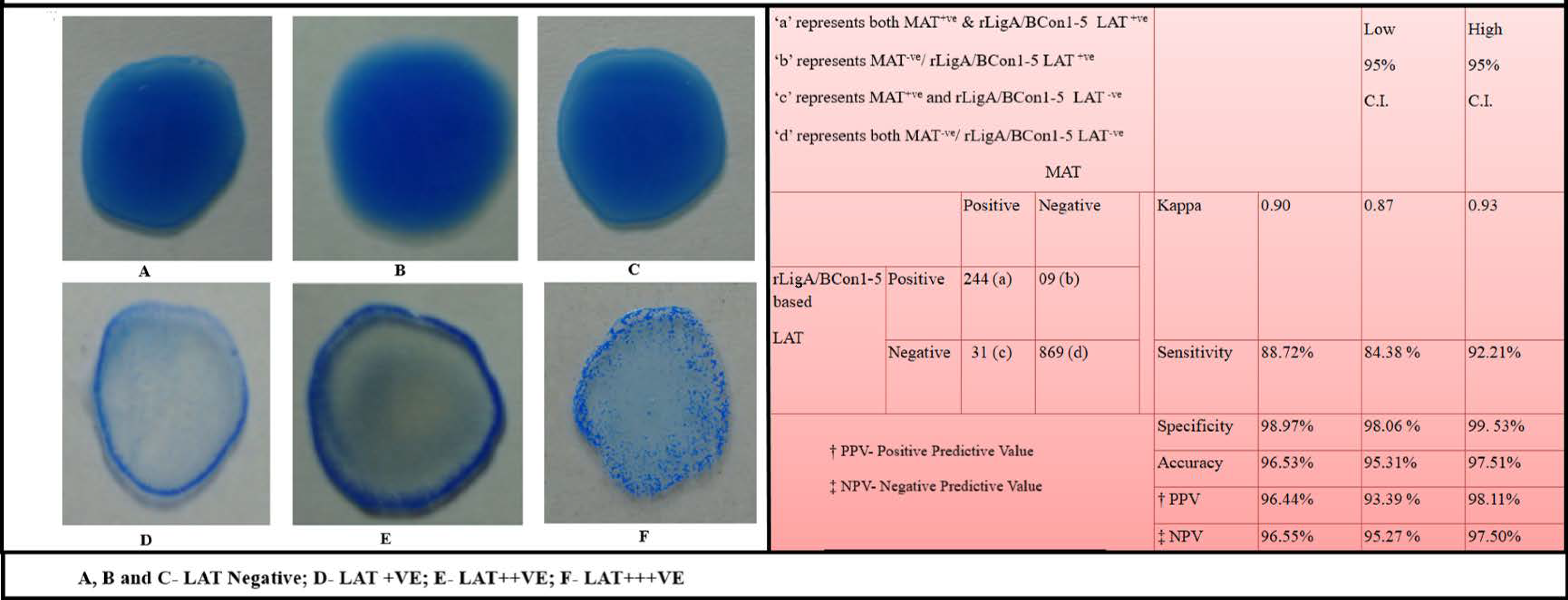 Pathogens 10 01082 g008 Pathogens 10 01082 g008