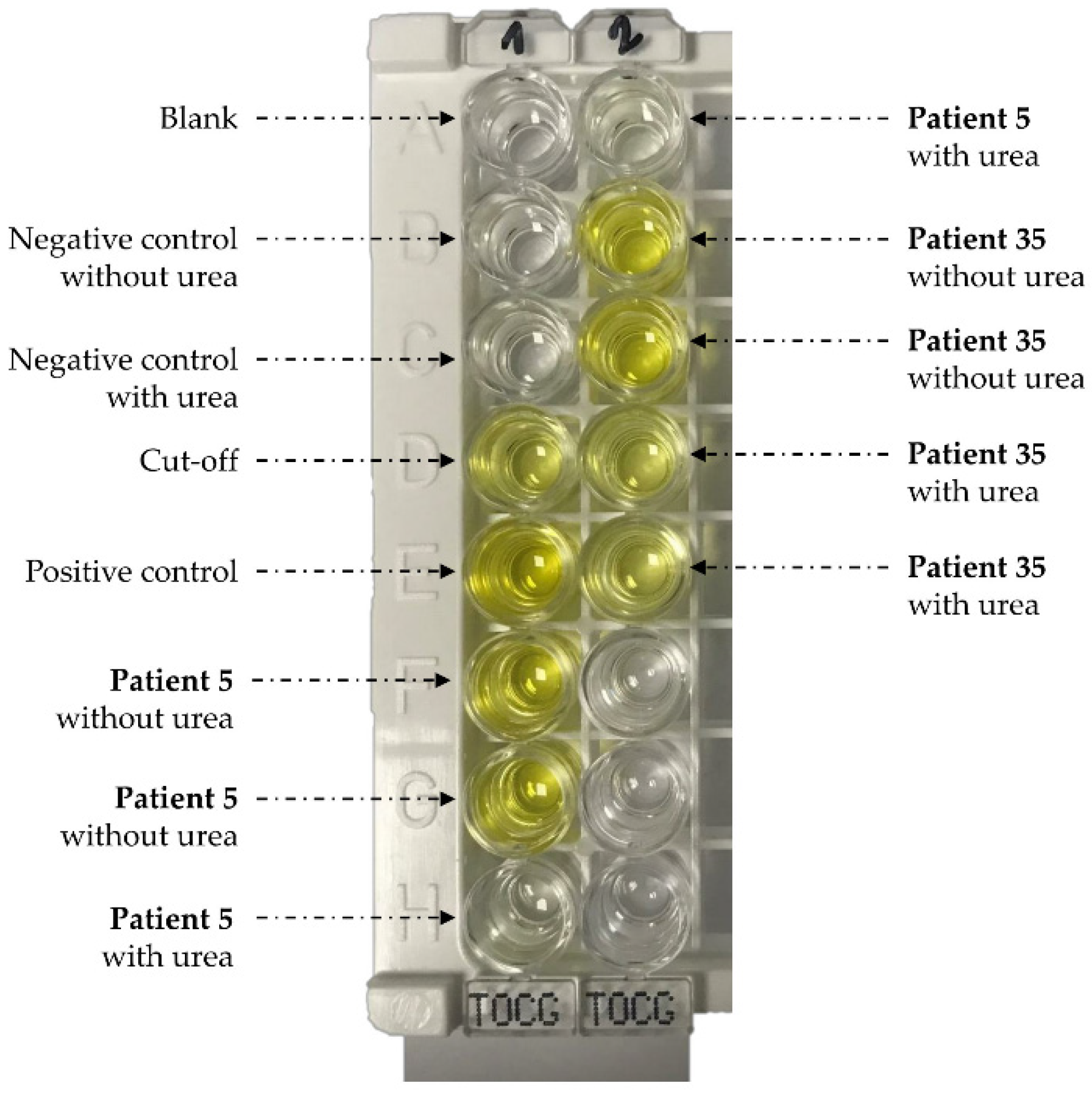 Pathogens 10 01086 g004 550