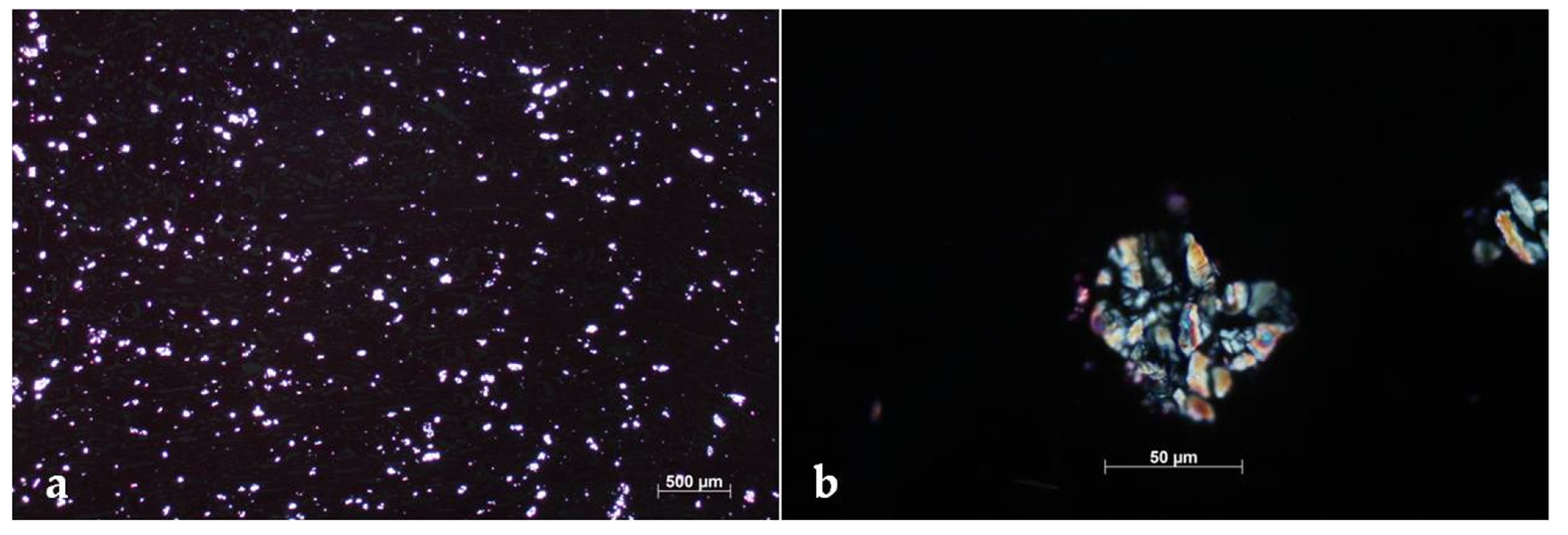 Pathogens 10 01087 g003 550