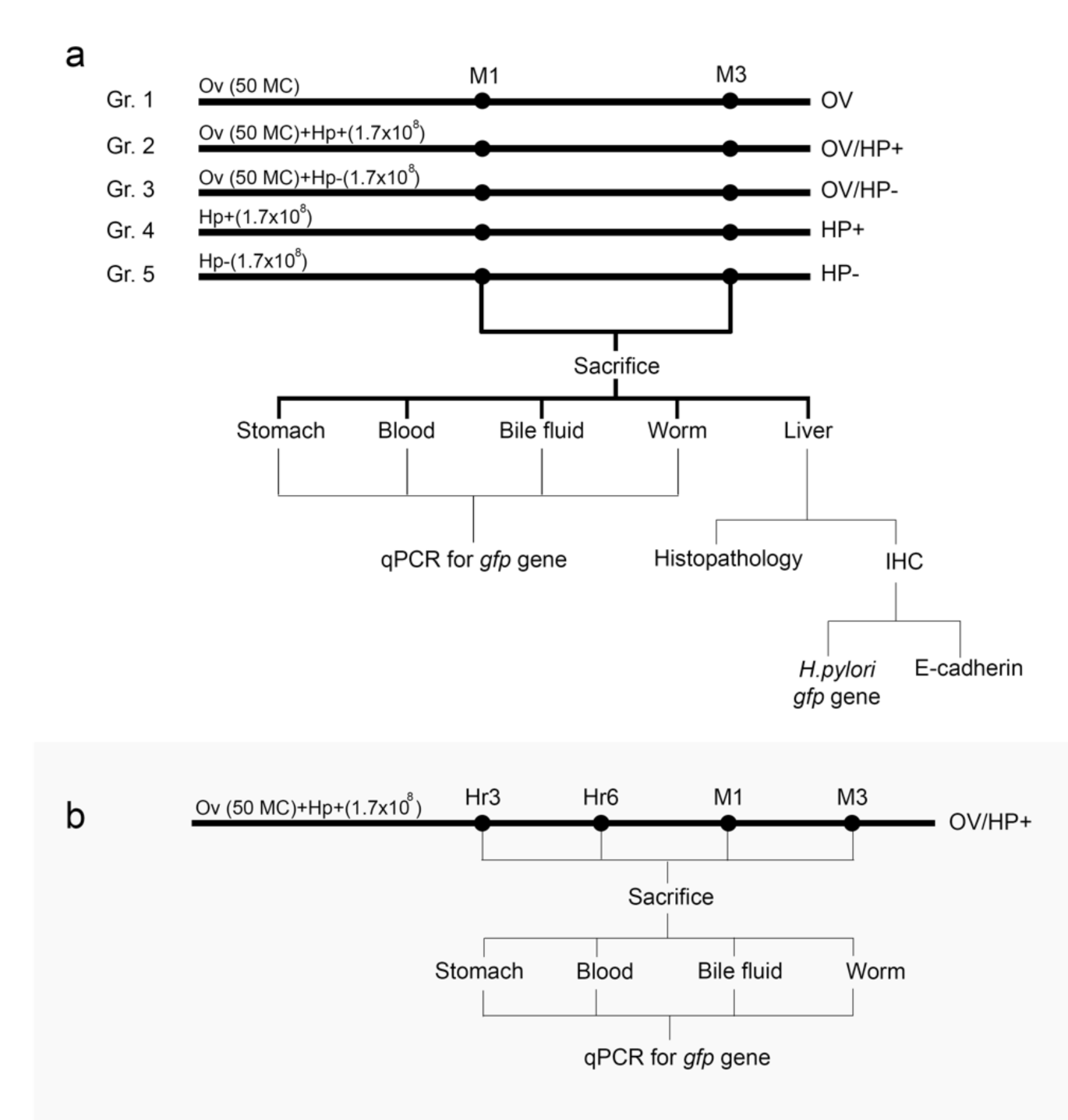 Pathogens 10 01089 g001 Pathogens 10 01089 g001