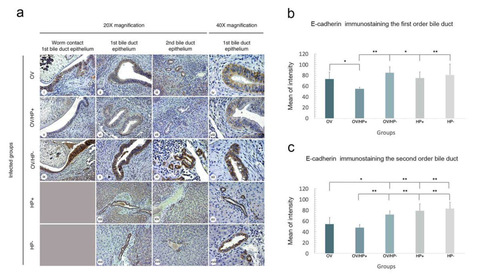 Pathogens 10 01089 g009 Pathogens 10 01089 g009