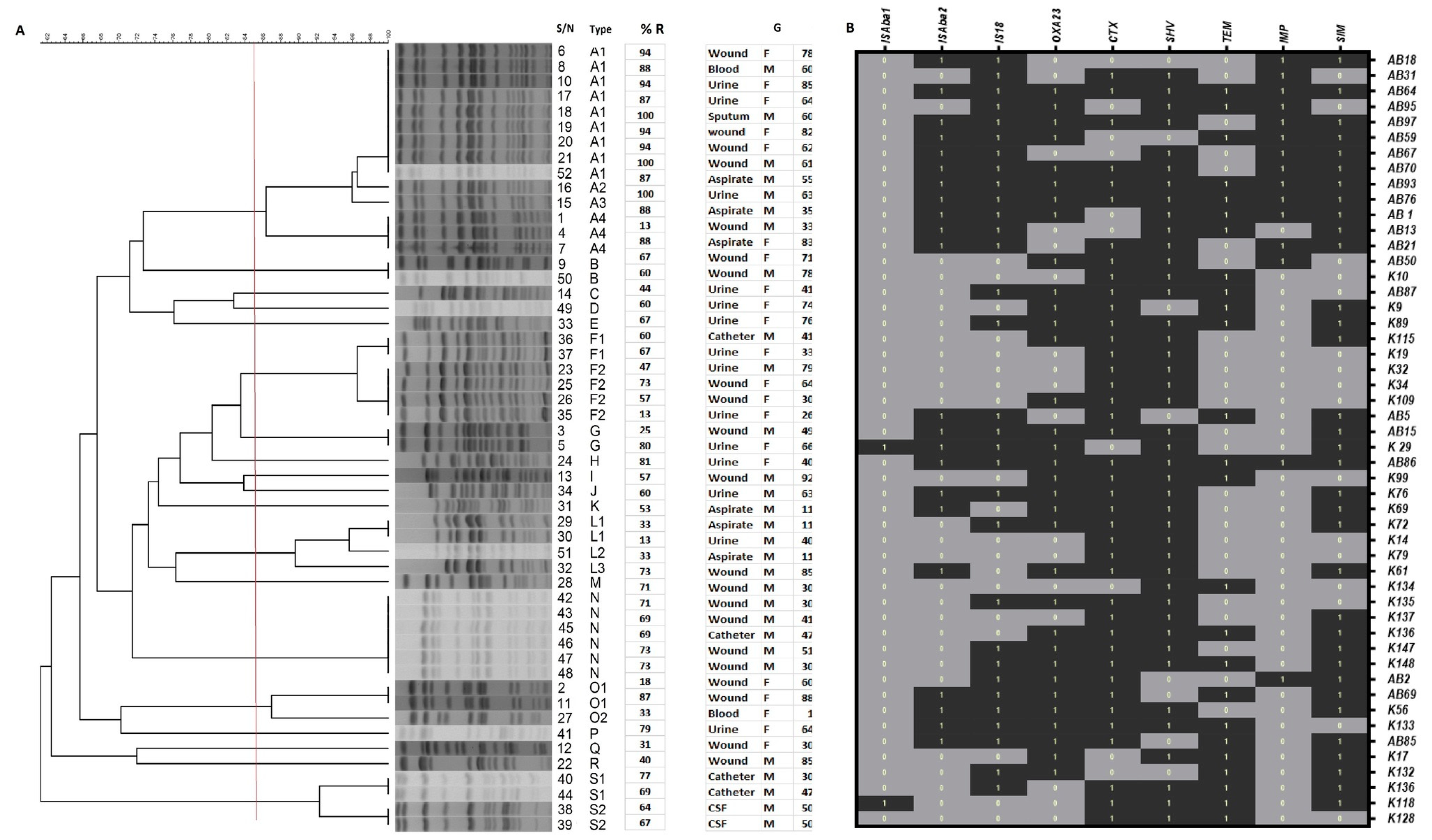 Pathogens 10 01097 g002