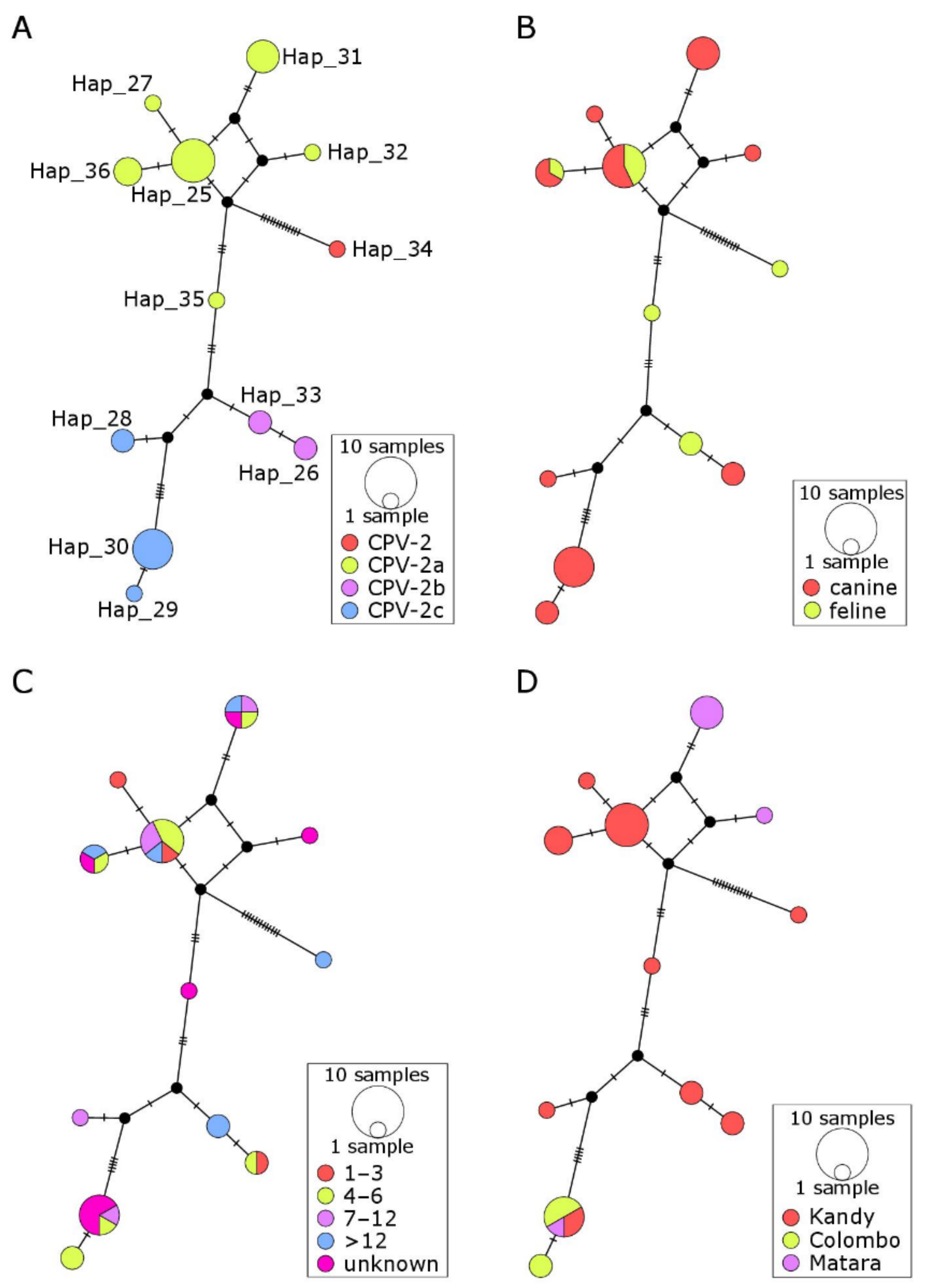 Pathogens 10 01102 g003