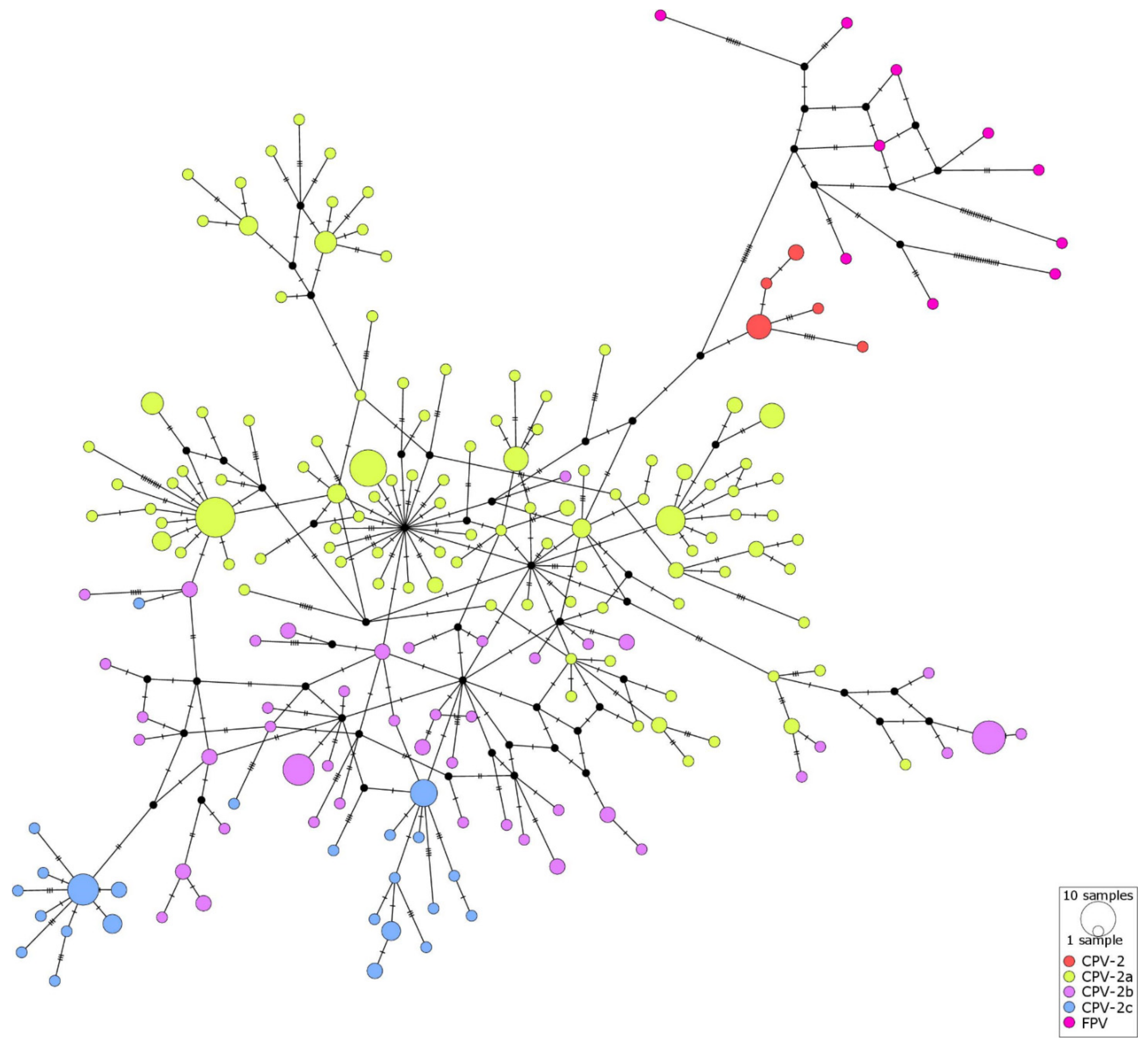 Pathogens 10 01102 g004
