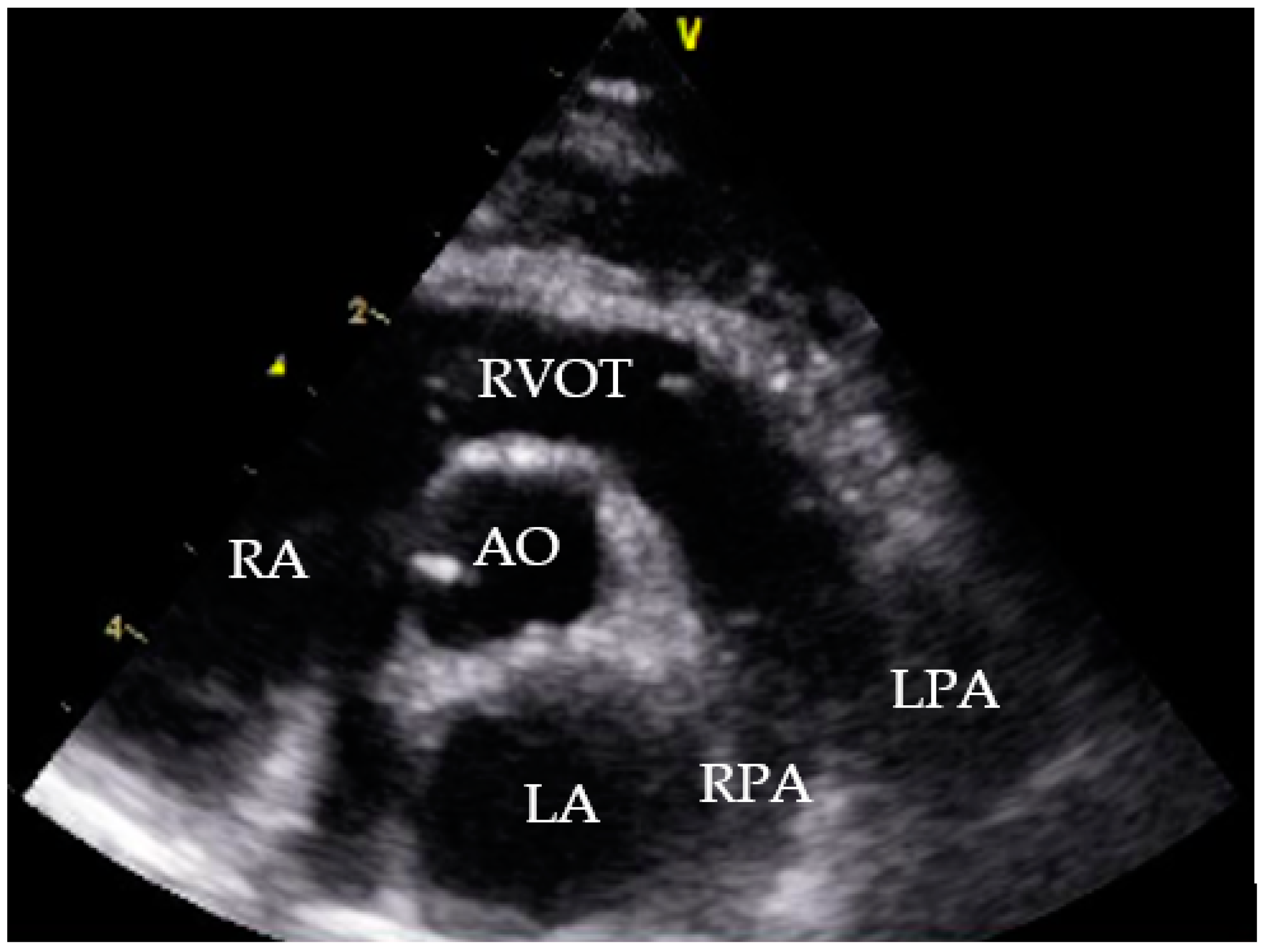 Pathogens 10 01104 g008