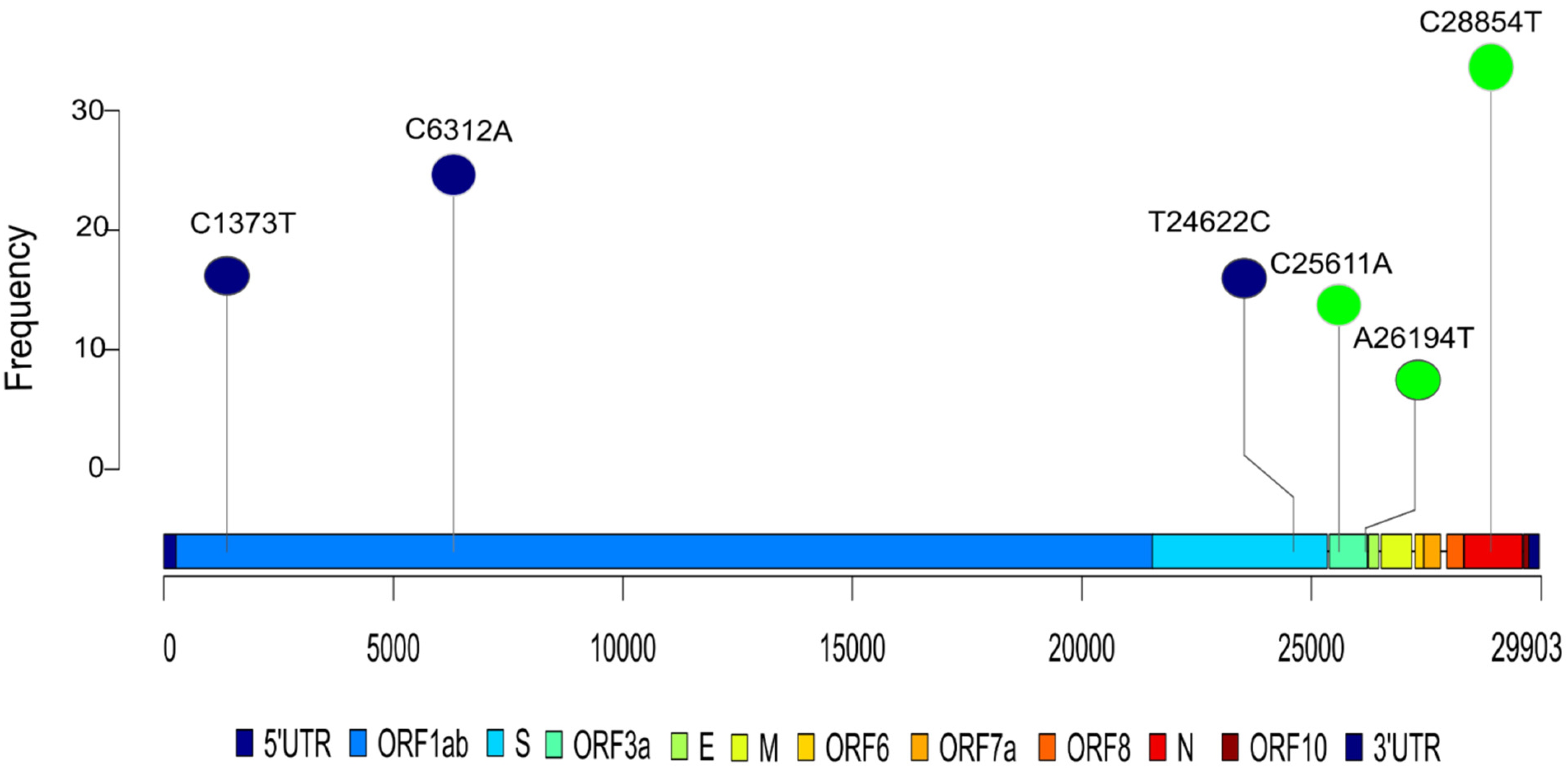 Pathogens 10 01109 g003
