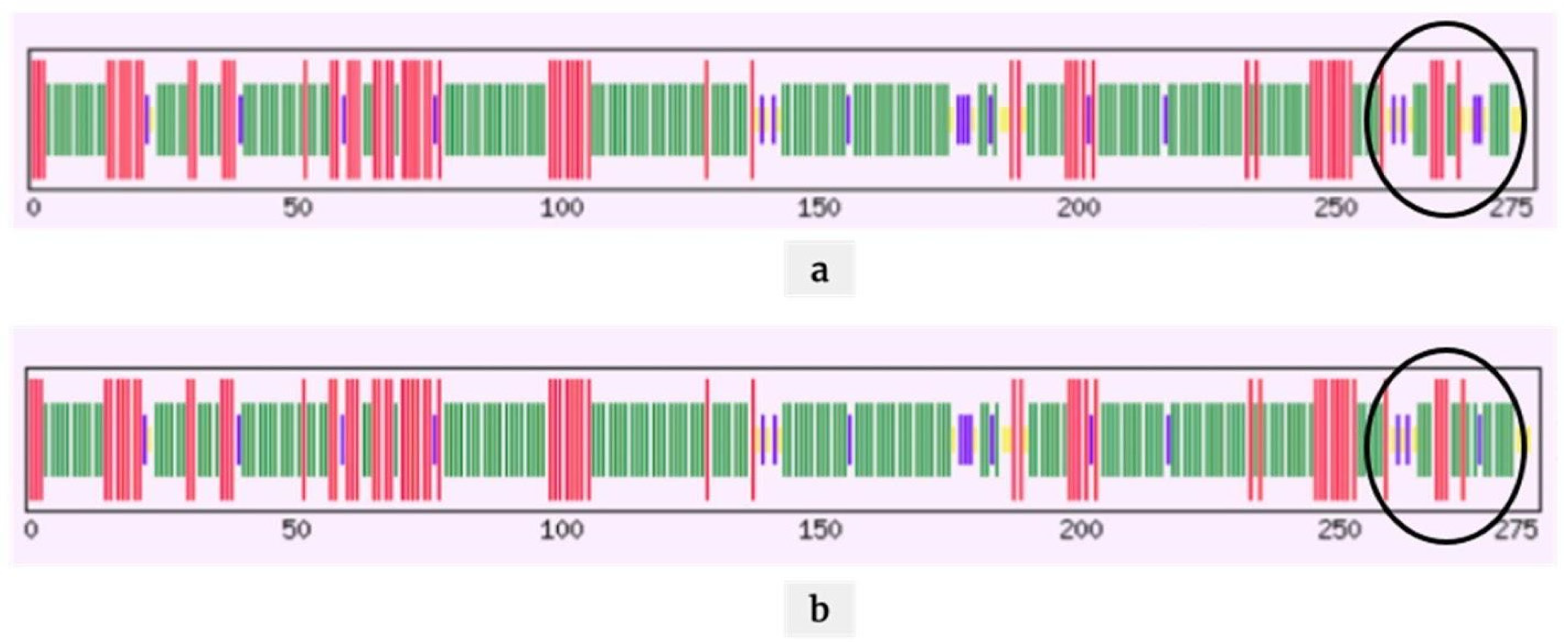 Pathogens 10 01109 g004