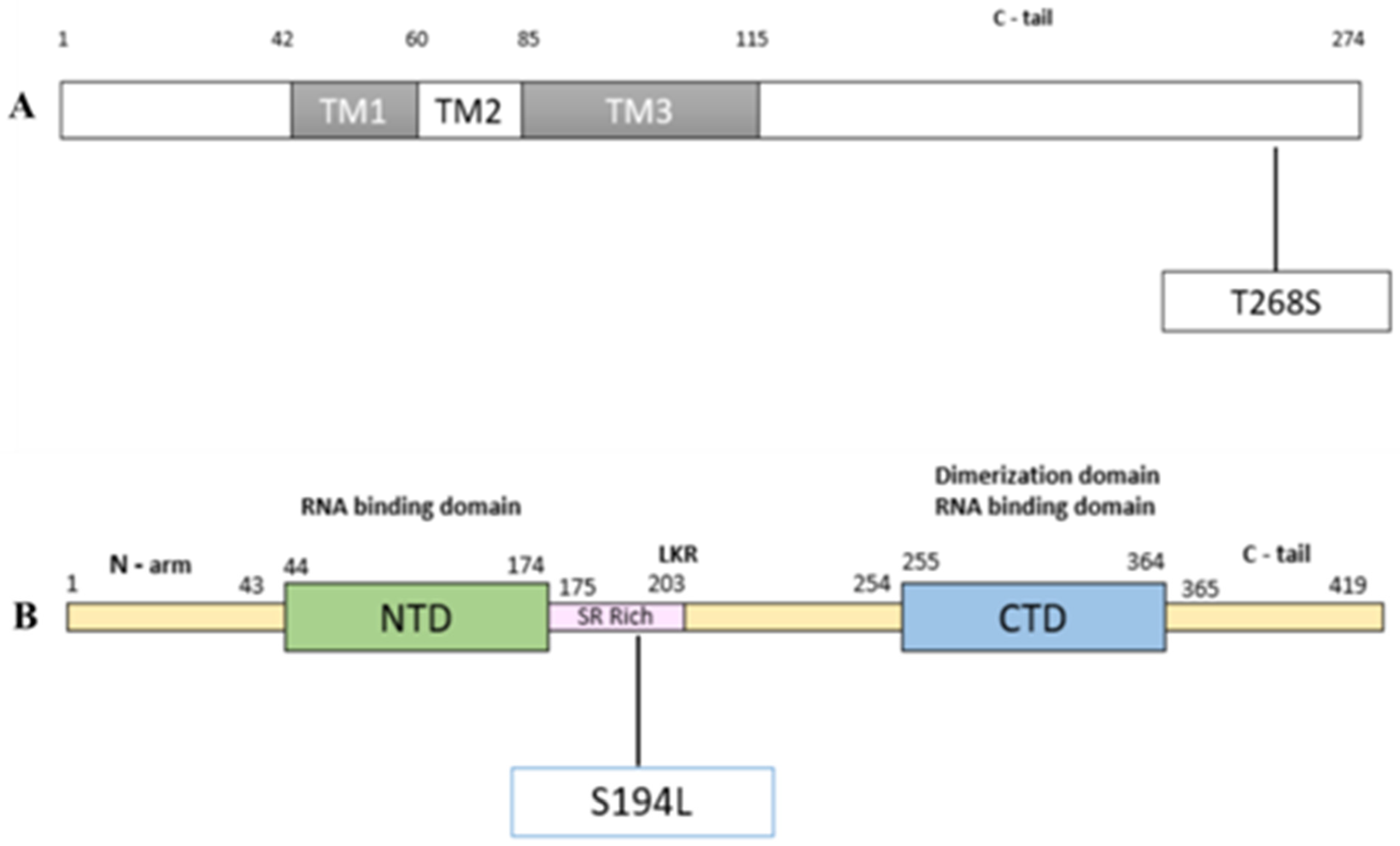 Pathogens 10 01109 g007