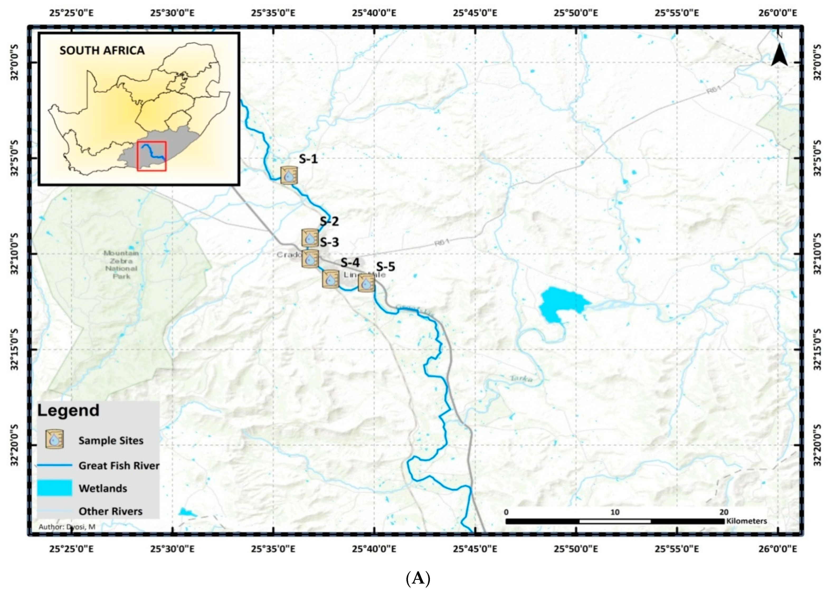 Pathogens 10 01110 g004a Pathogens 10 01110 g004a