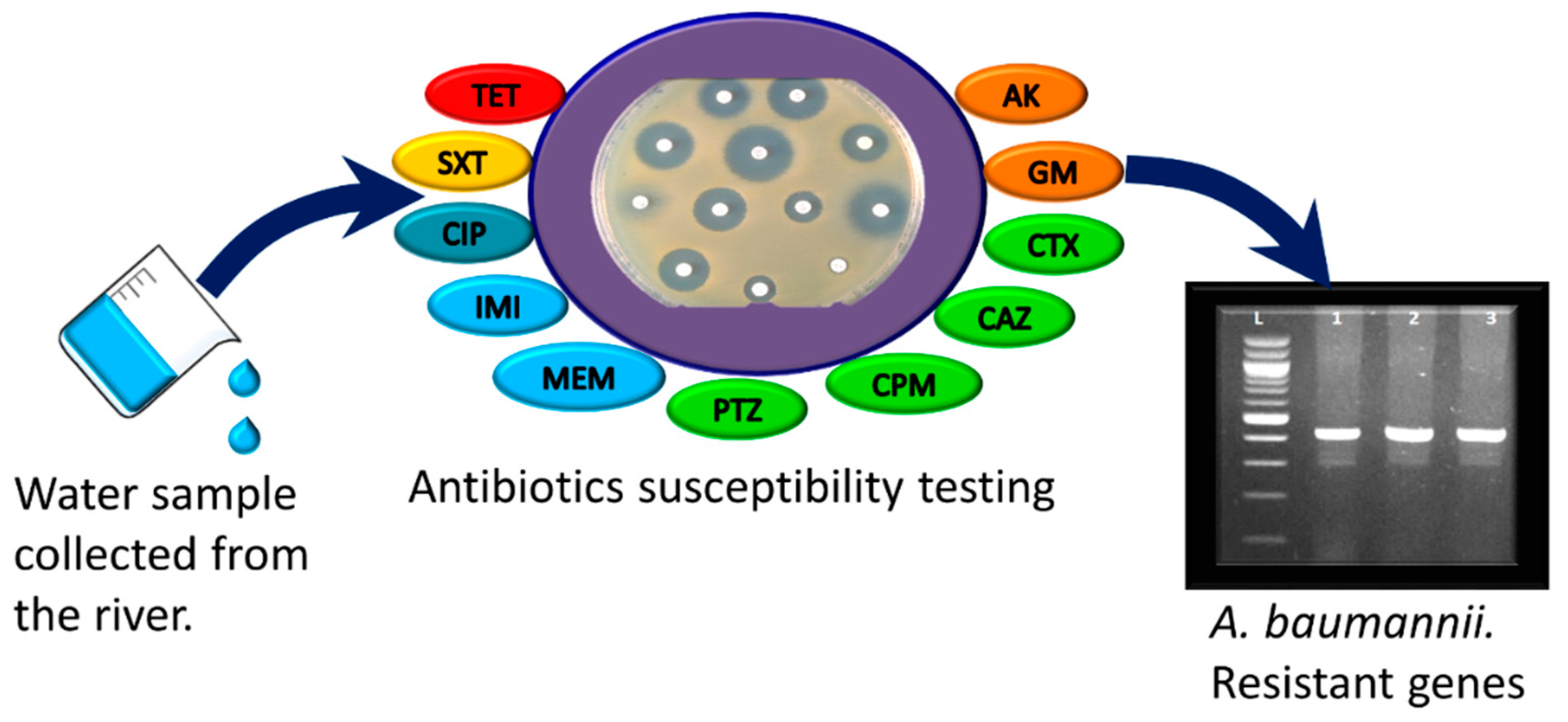 Pathogens 10 01110 sch001 Pathogens 10 01110 sch001