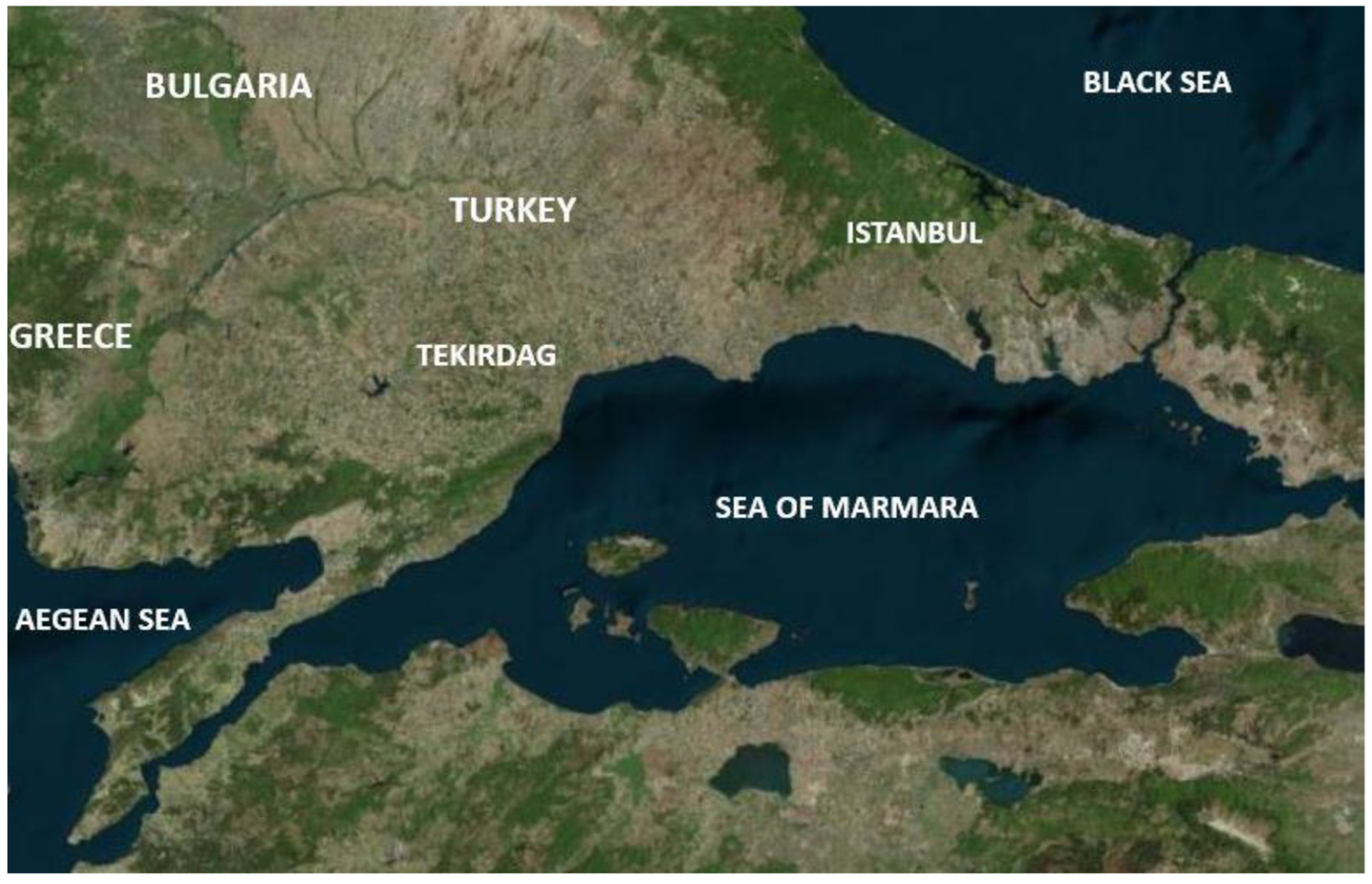 Pathogens 10 01114 g001 Pathogens 10 01114 g001