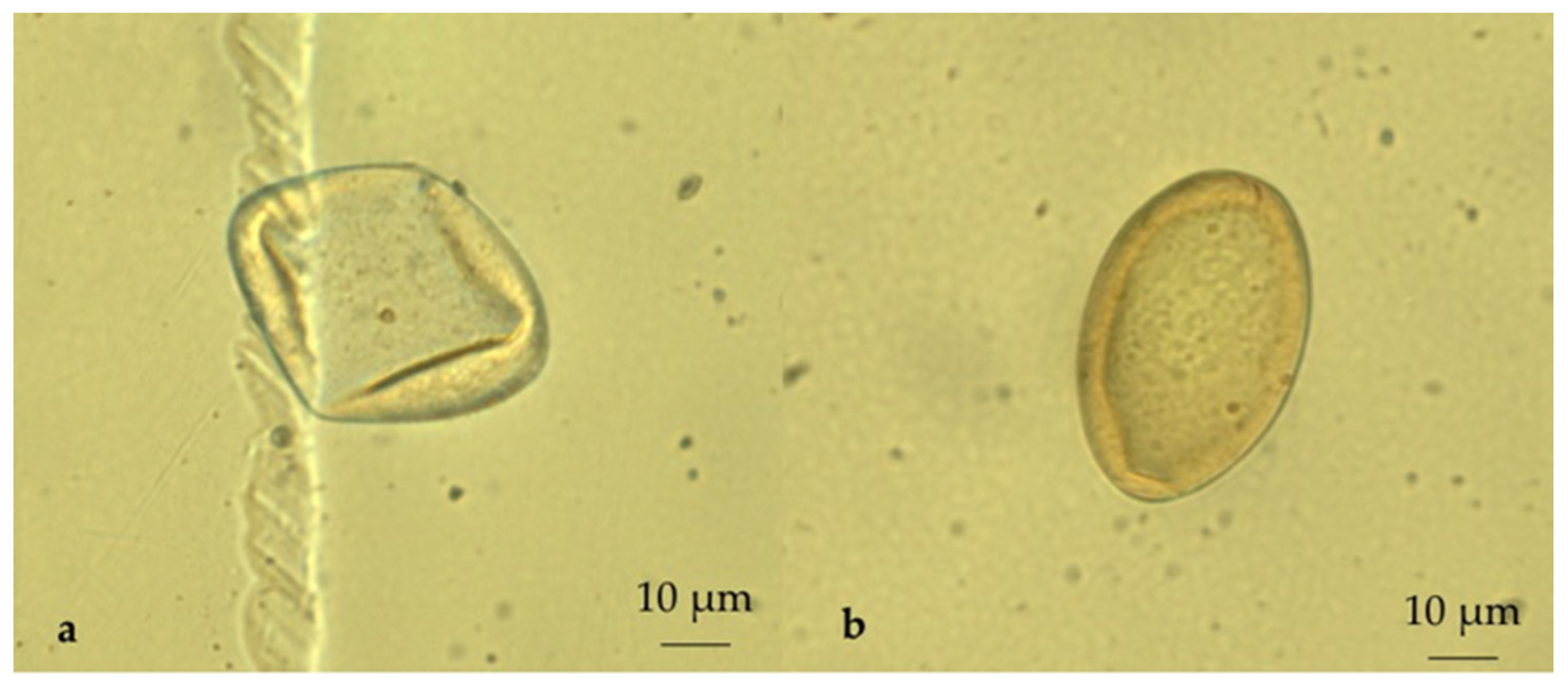 Pathogens 10 01122 g006 550