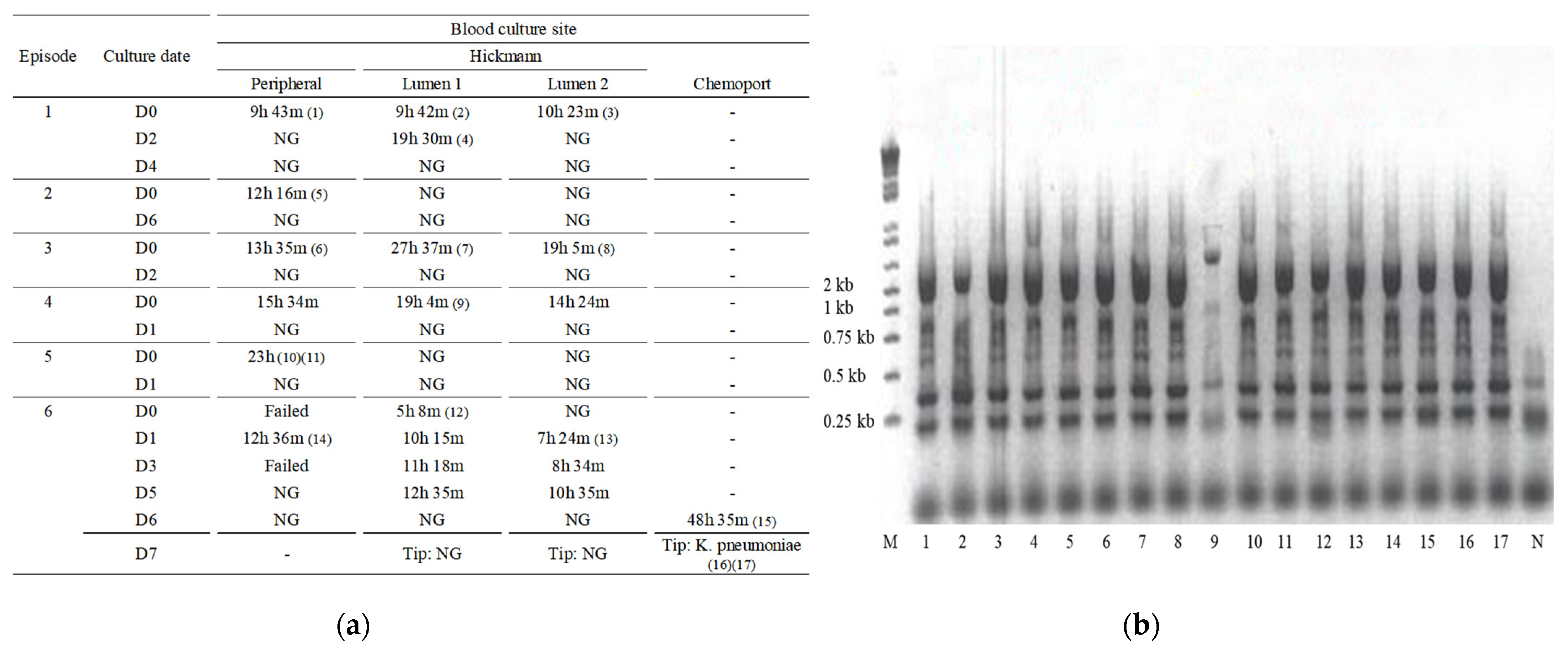 Pathogens 10 01123 g001