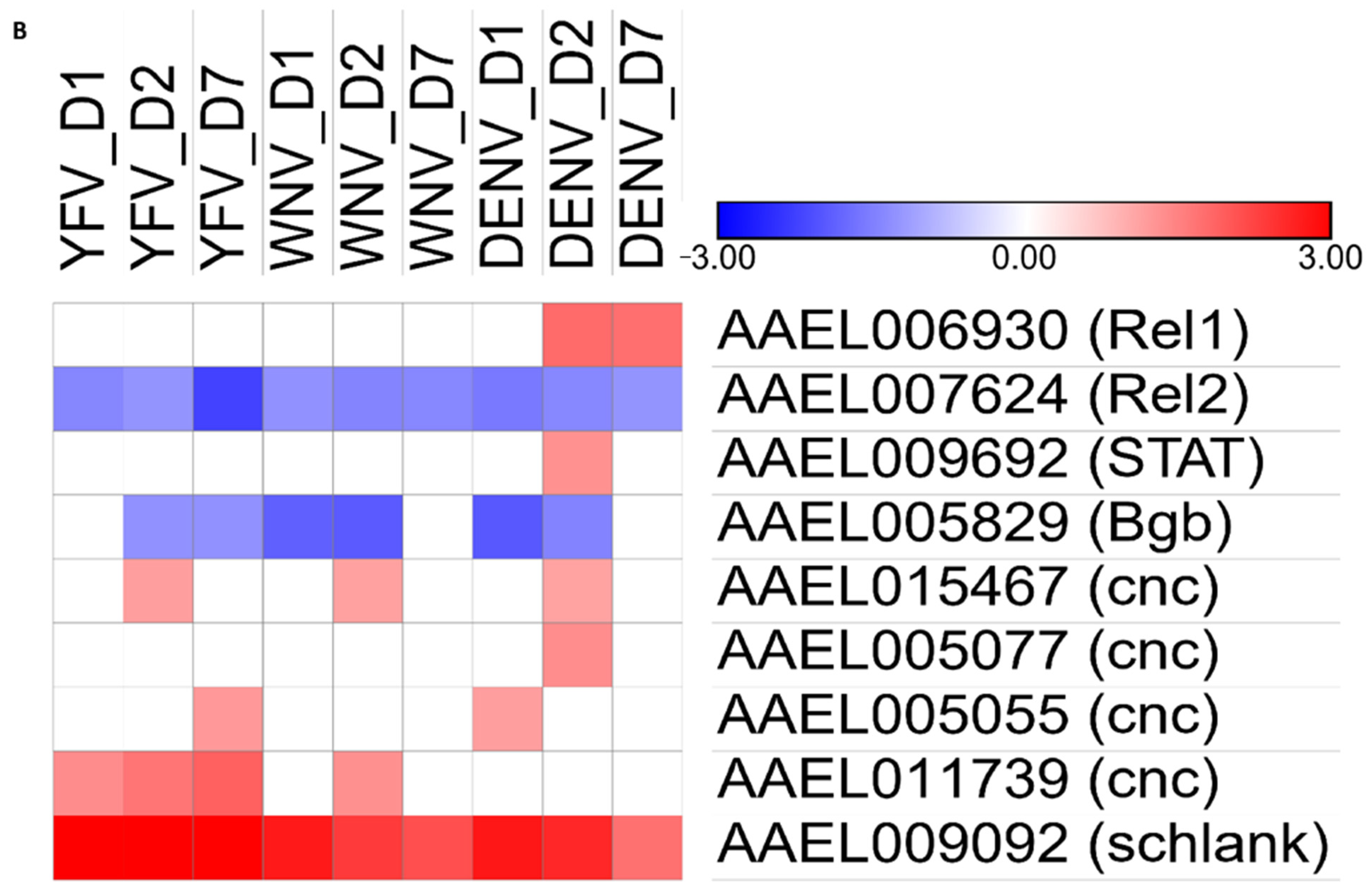 Pathogens 10 01127 g007b Pathogens 10 01127 g007b