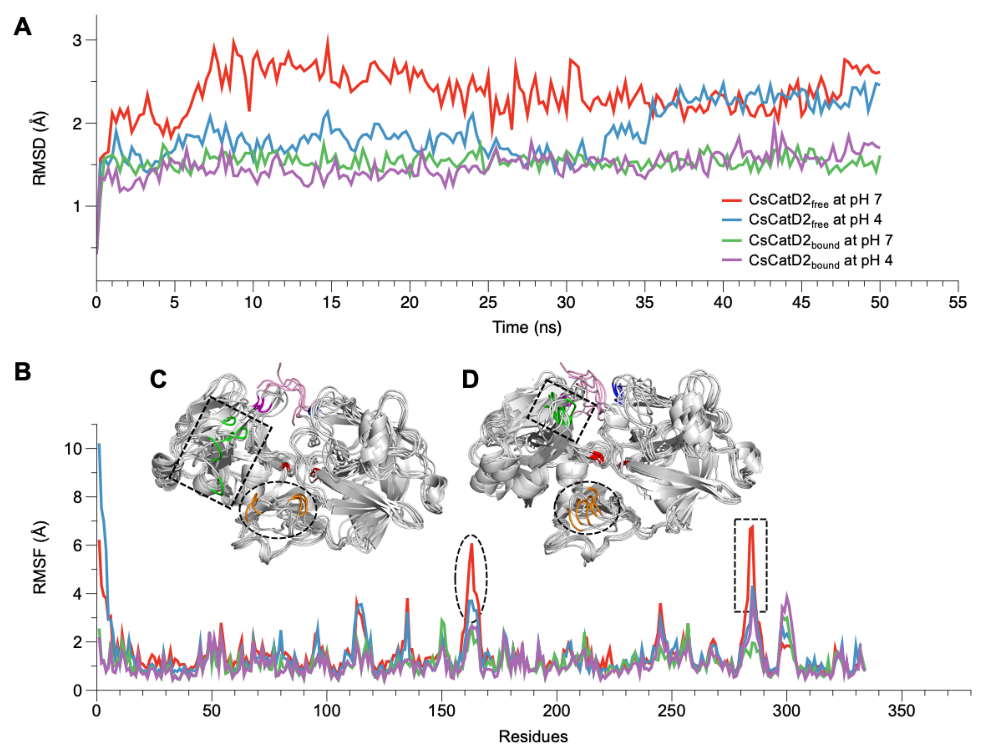 Pathogens 10 01128 g002
