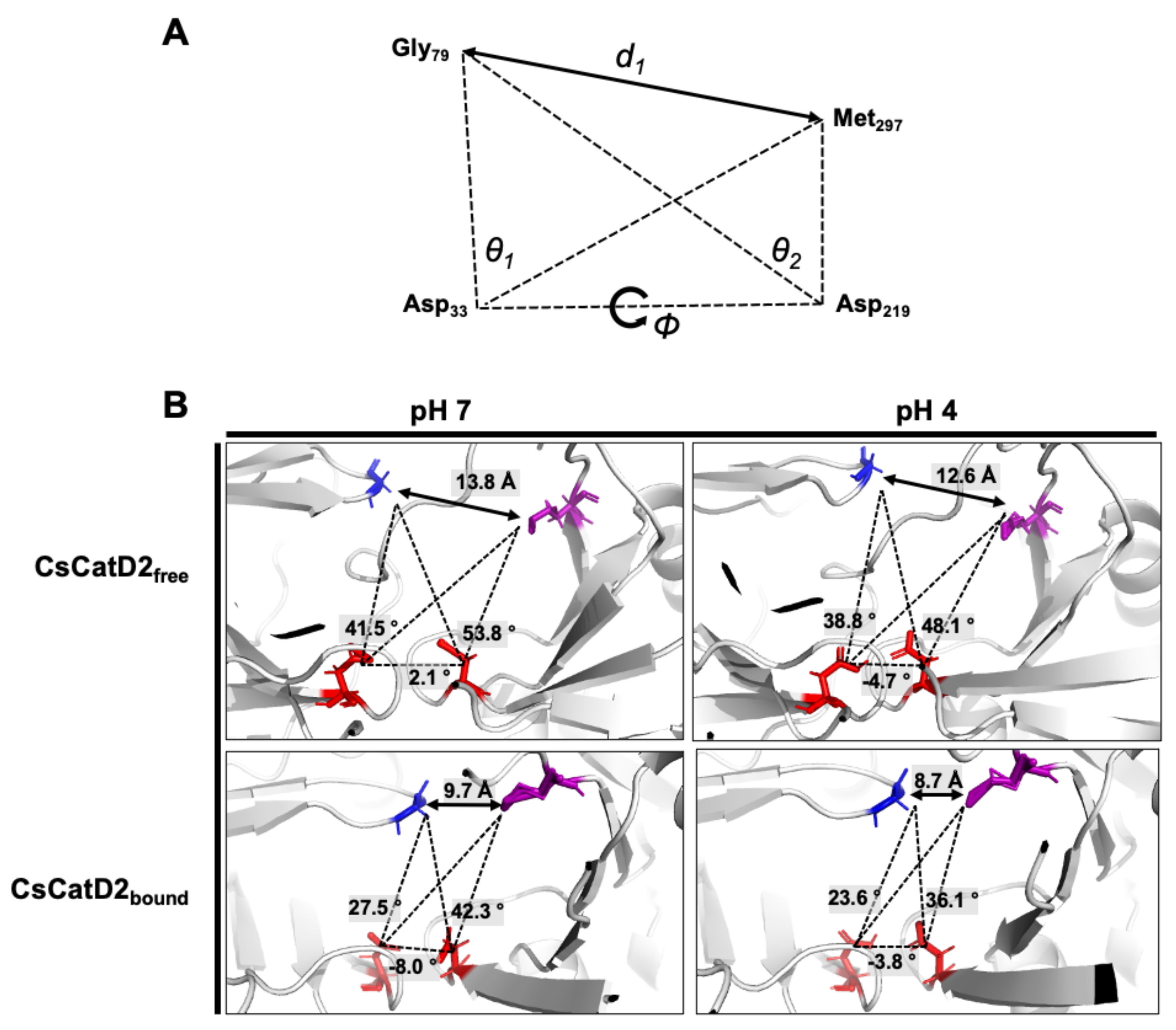 Pathogens 10 01128 g008