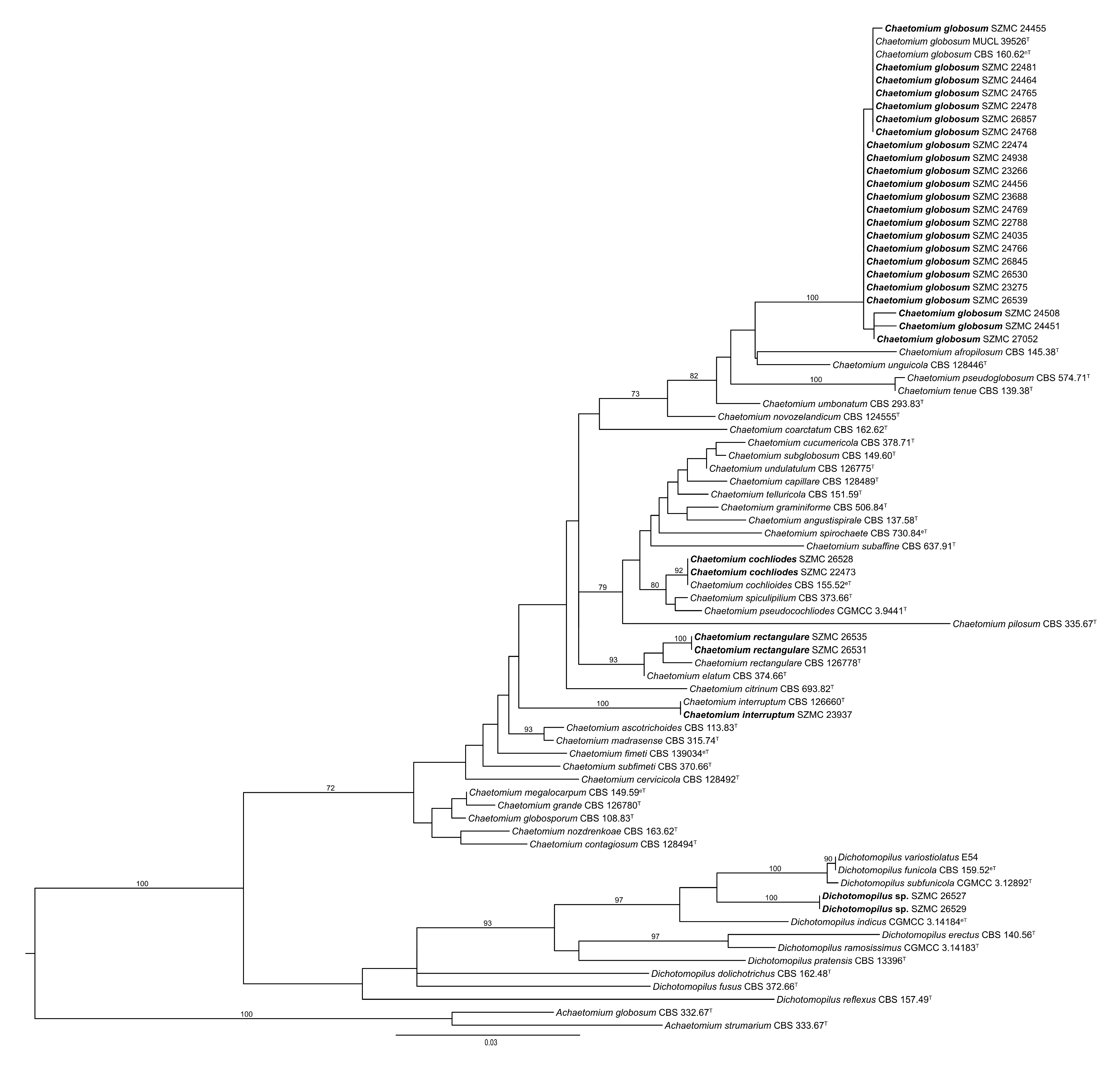 Pathogens Free Full Text Chaetomium And Chaetomium Like Species From European Indoor Environments Include Dichotomopilus Finlandicus Sp Nov Html Pathogens Free Full Text Chaetomium And Chaetomium Like Species From European Indoor Environments Include Dichotomopilus Finlandicus Sp Nov Html