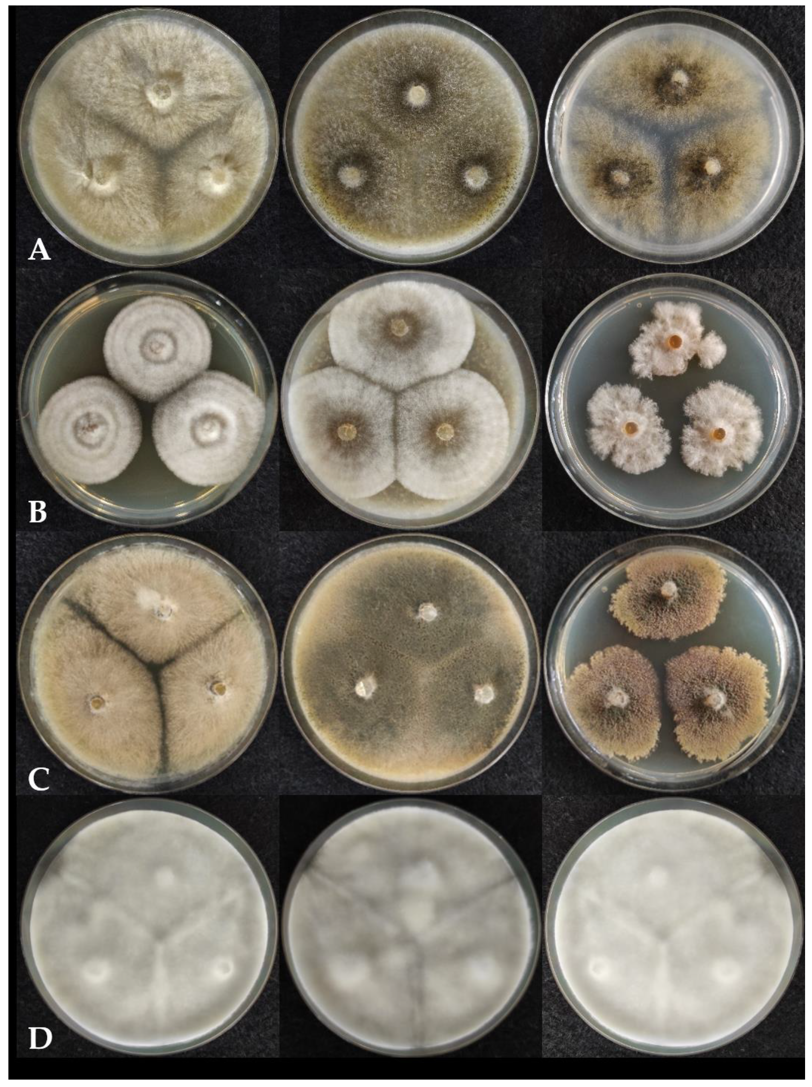 Pathogens 10 01133 g002