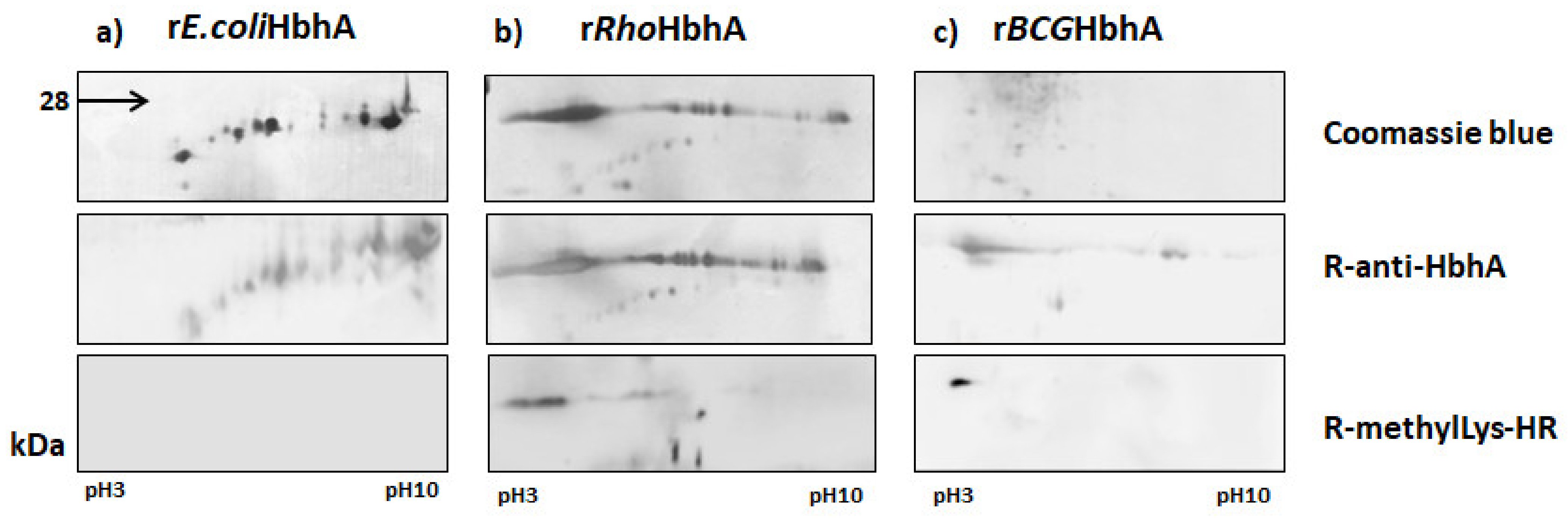 Pathogens 10 01139 g003