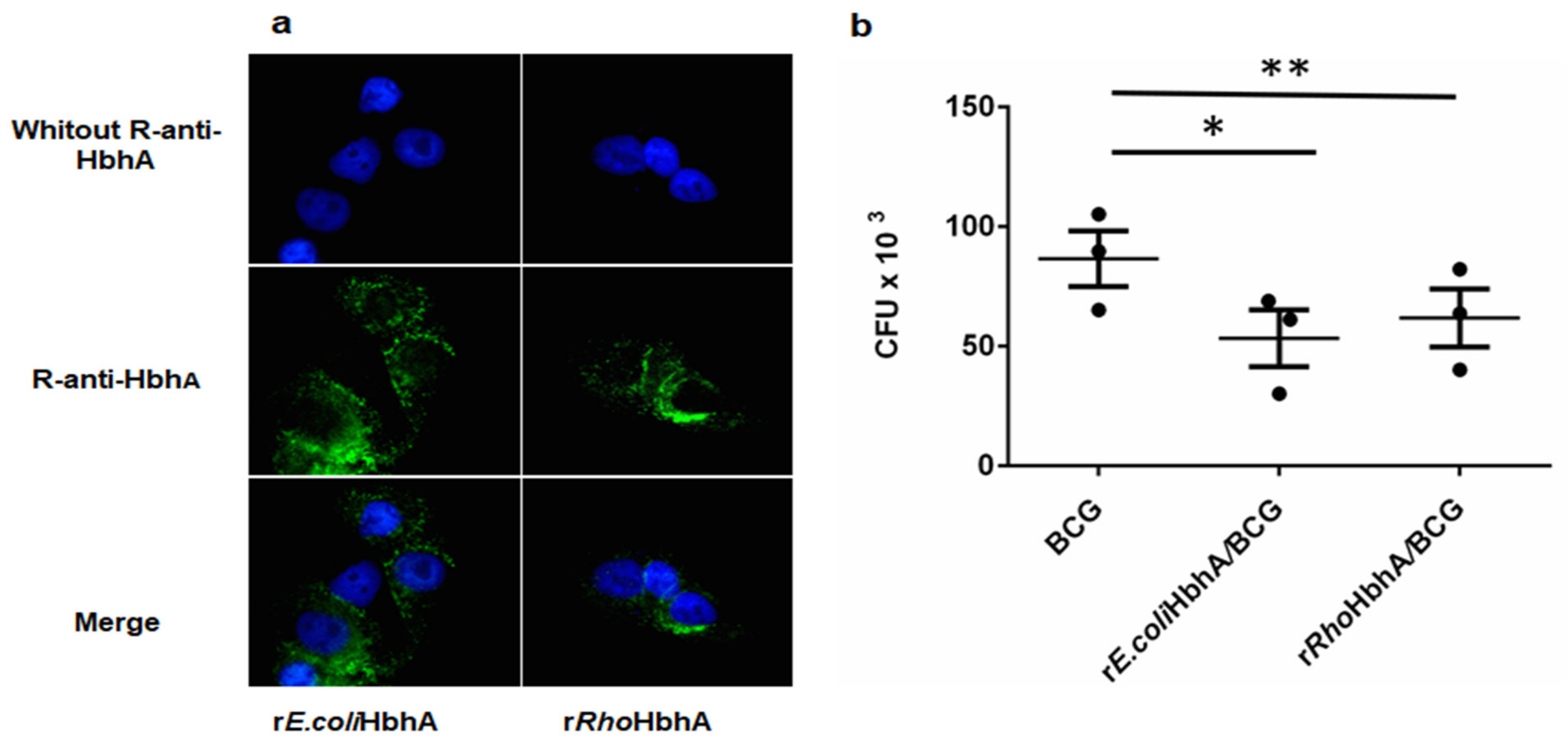 Pathogens 10 01139 g006
