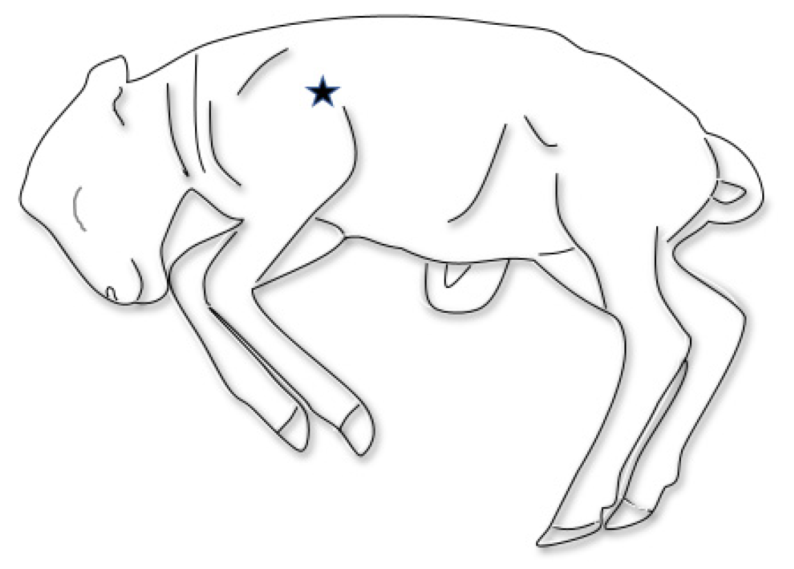 Pathogens 10 01147 g001