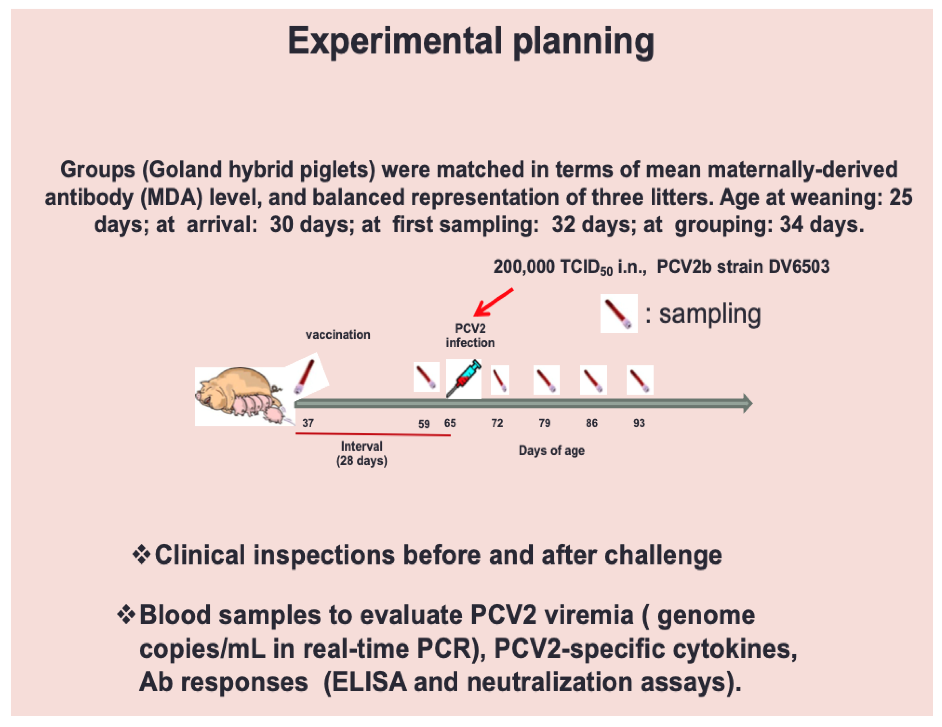 Pathogens 10 01161 g004