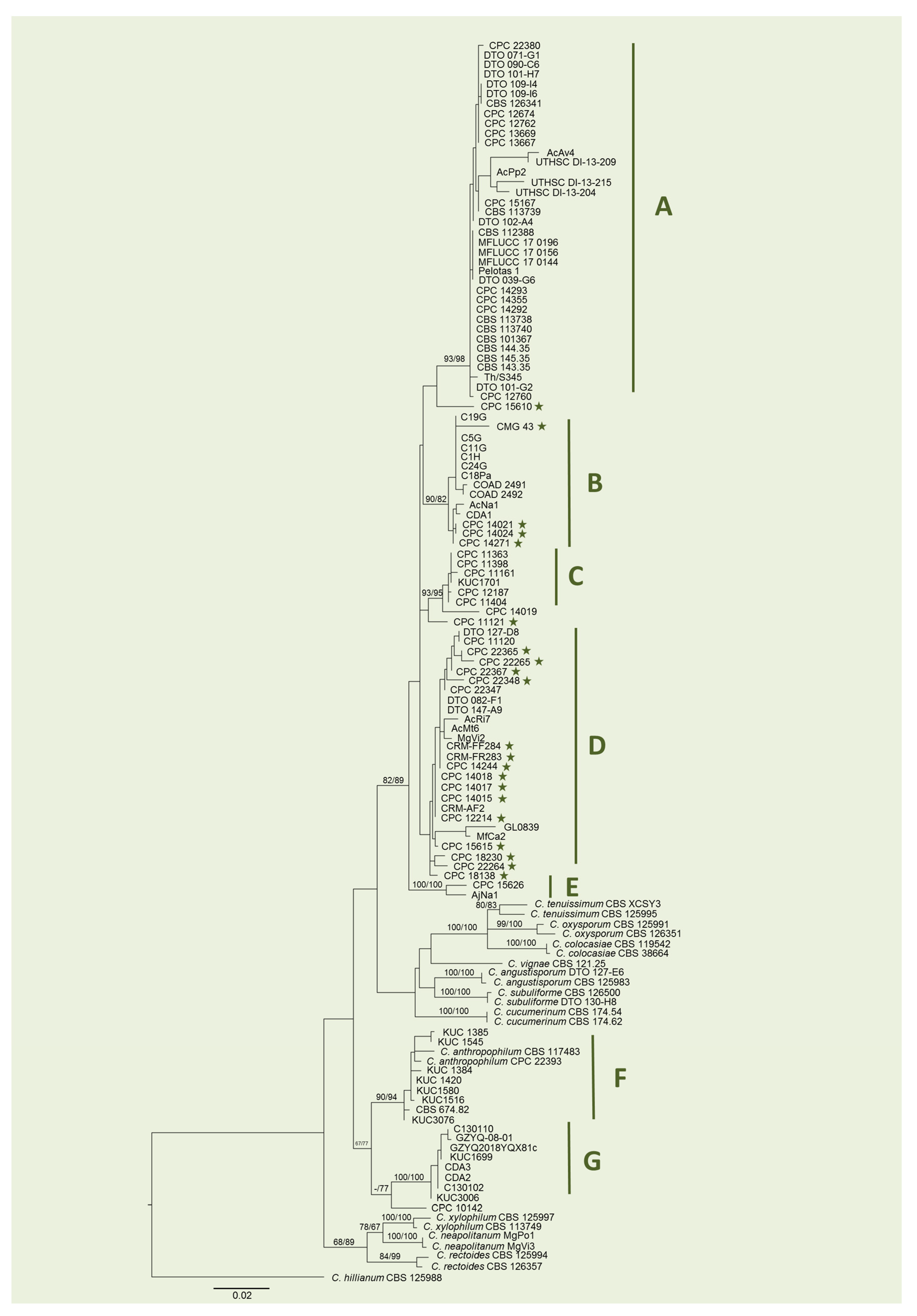 Pathogens 10 01167 g001
