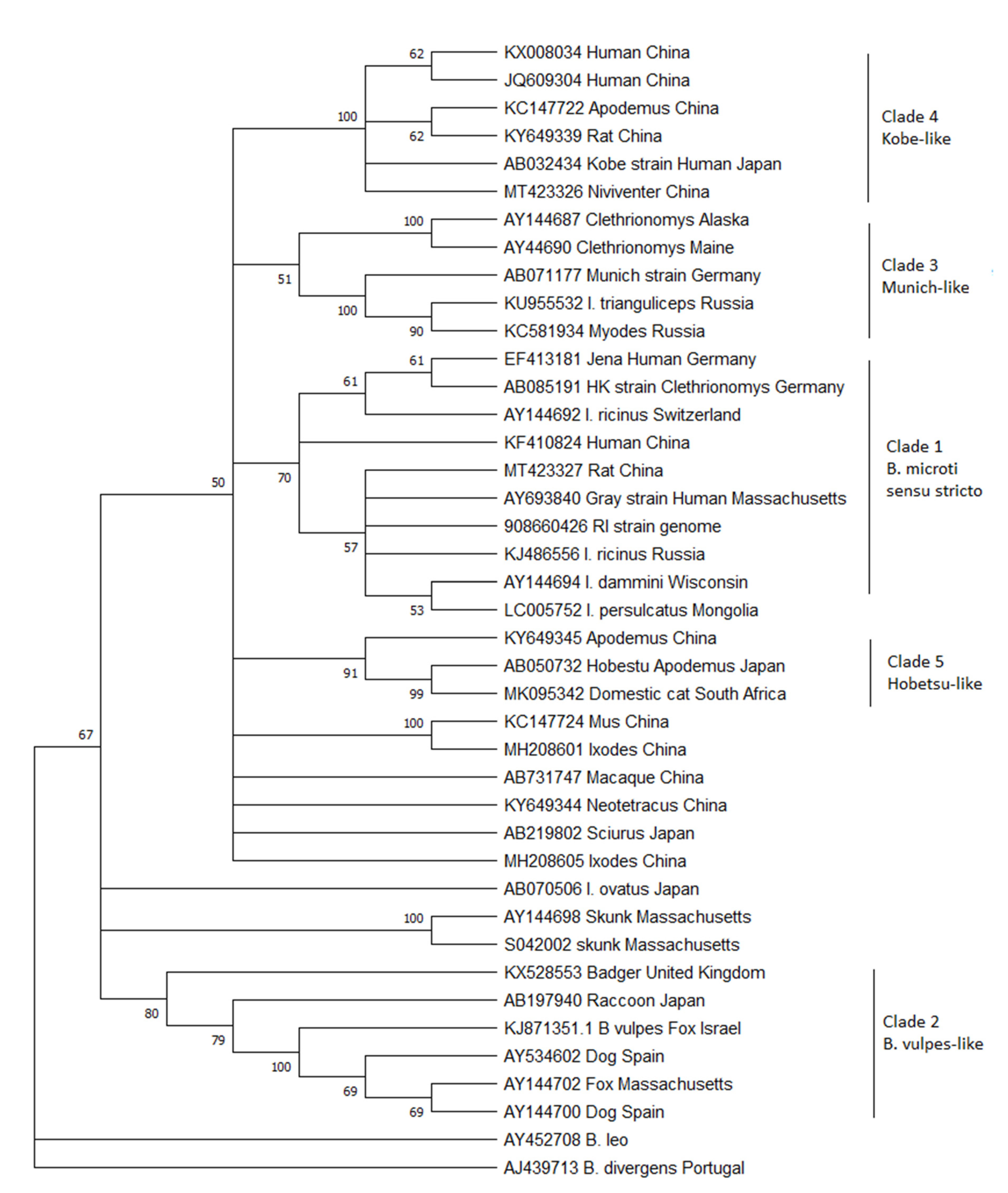 Pathogens 10 01168 g001 550