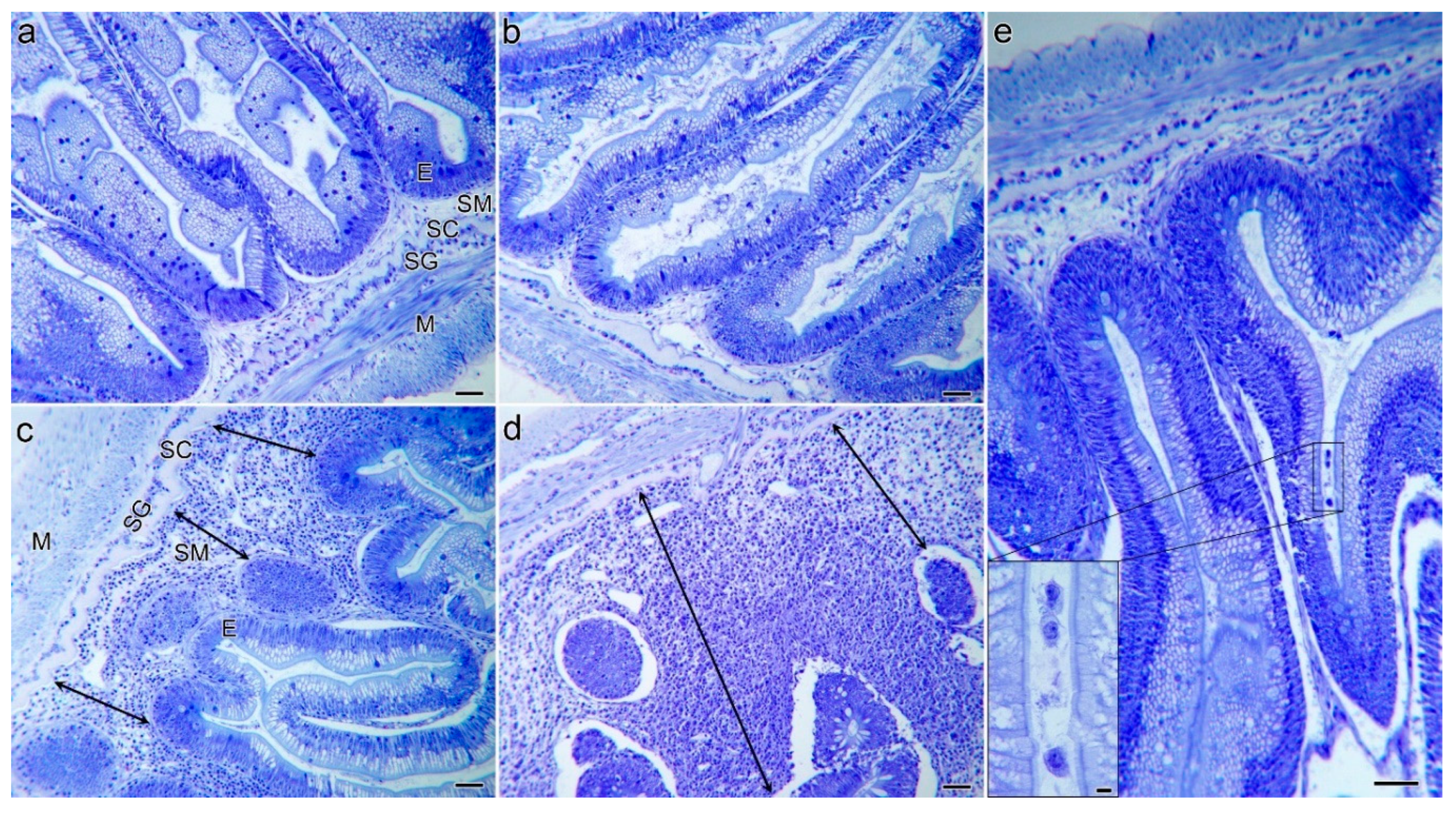Pathogens 10 01179 g002 Pathogens 10 01179 g002