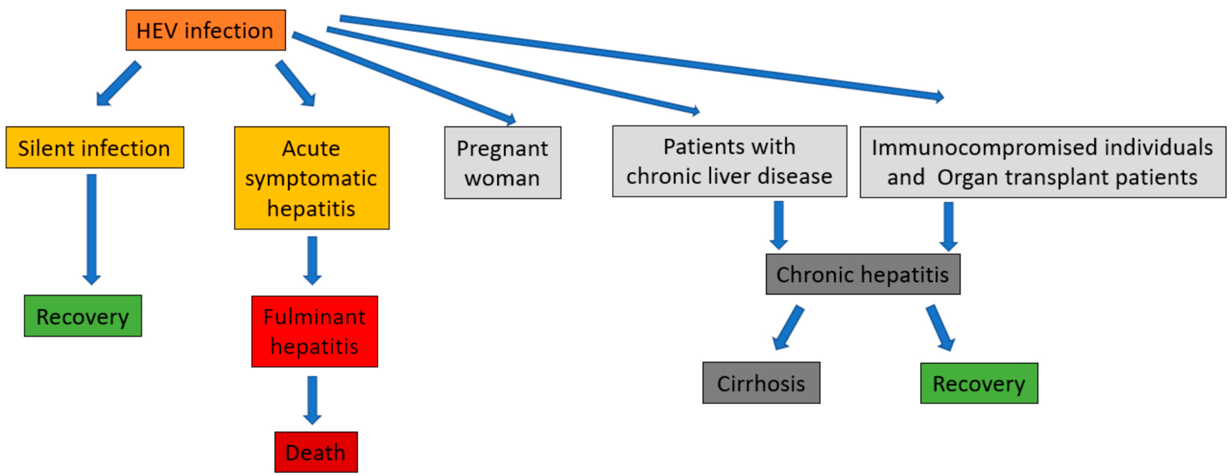 Pathogens 10 01180 g004 Pathogens 10 01180 g004