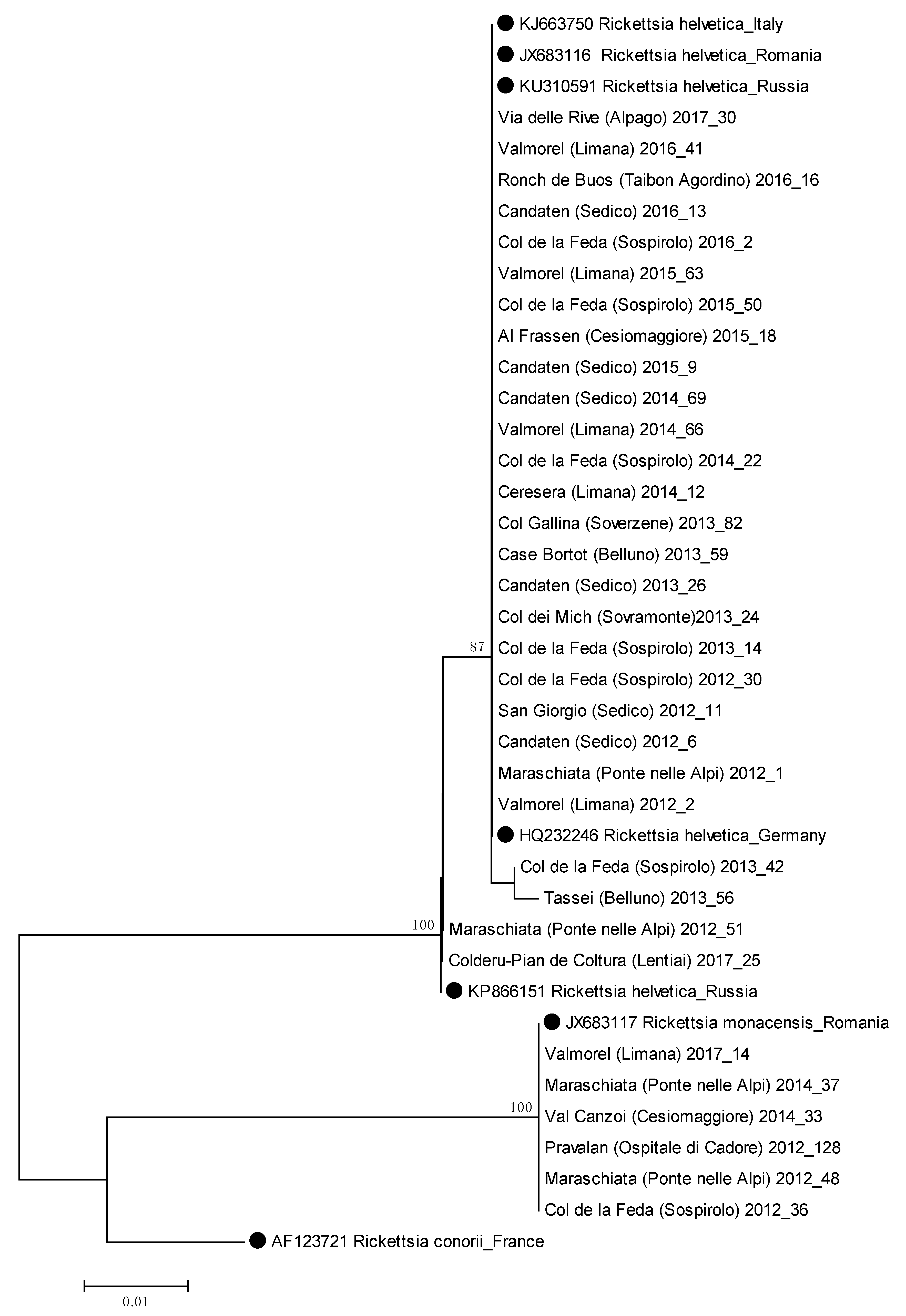 Pathogens 10 01181 g0a2 550