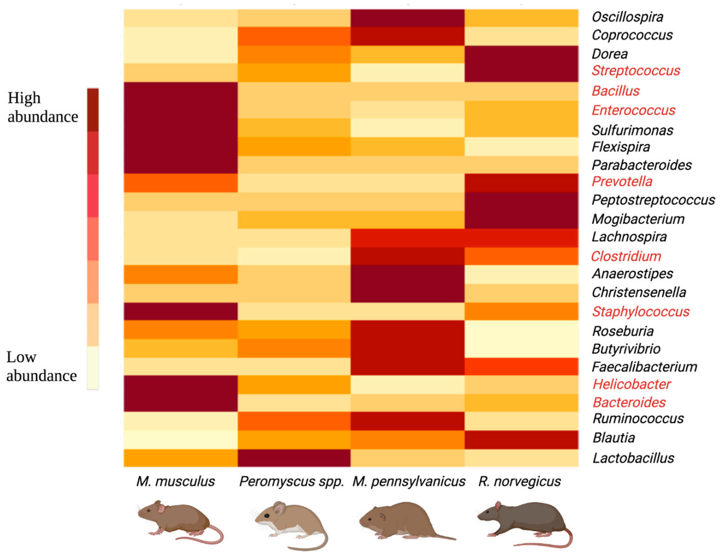 Pathogens 10 01183 g003 550