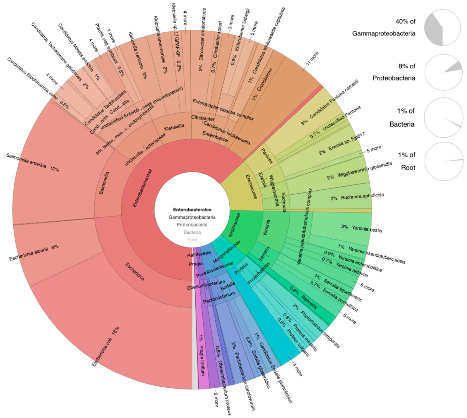Pathogens 10 01183 g006 550