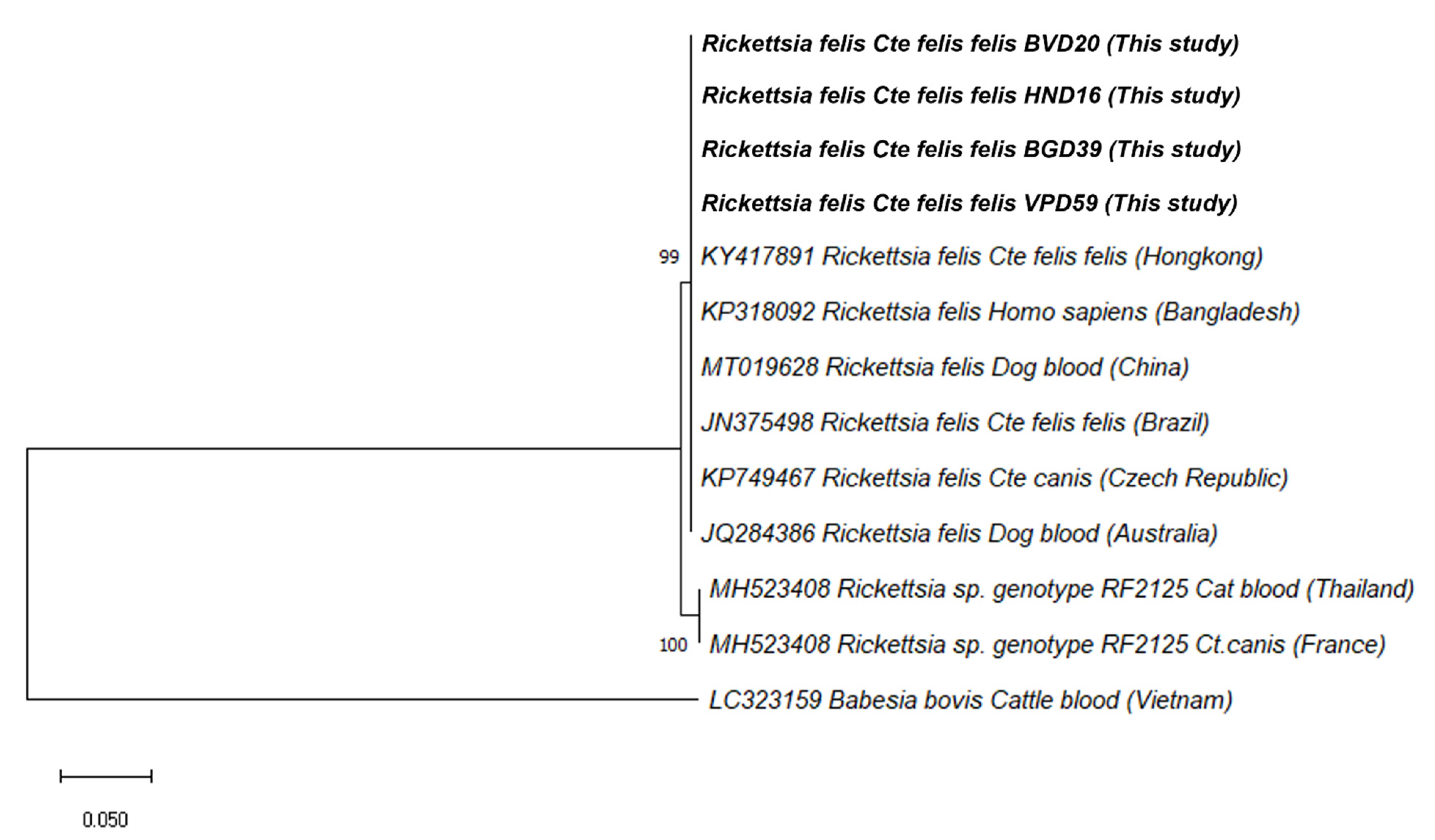Pathogens 10 01185 g001