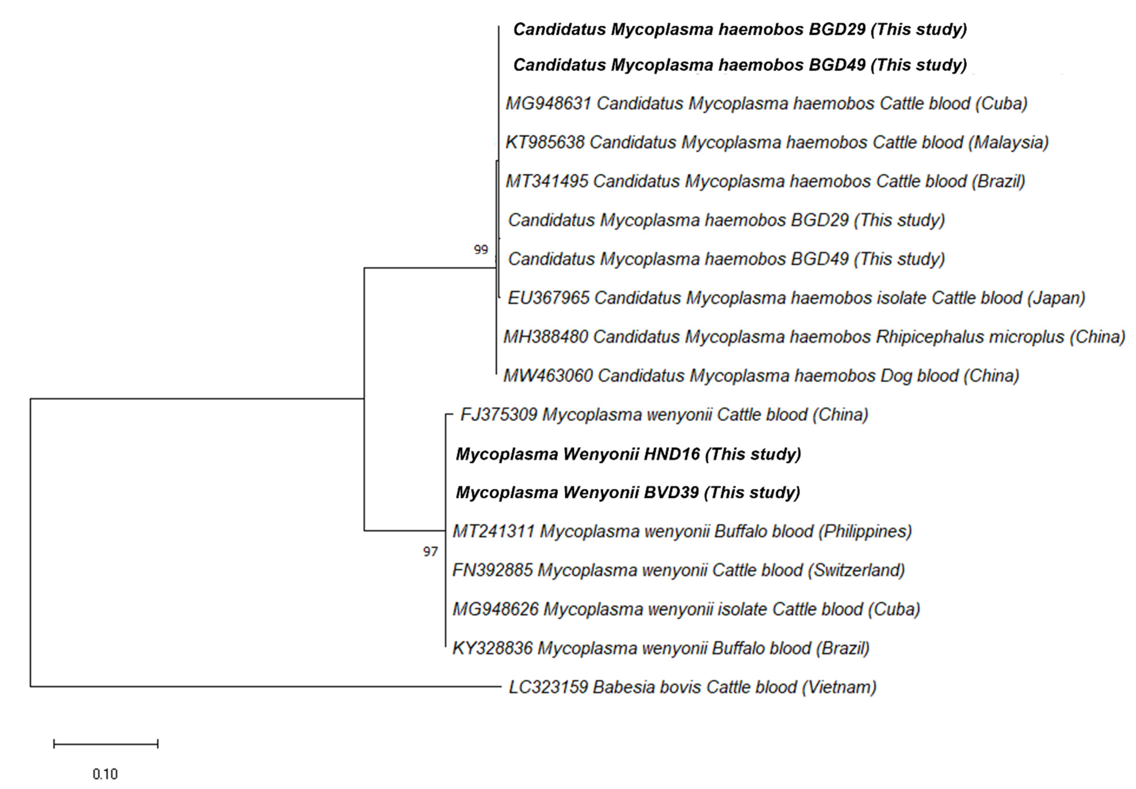 Pathogens 10 01185 g002