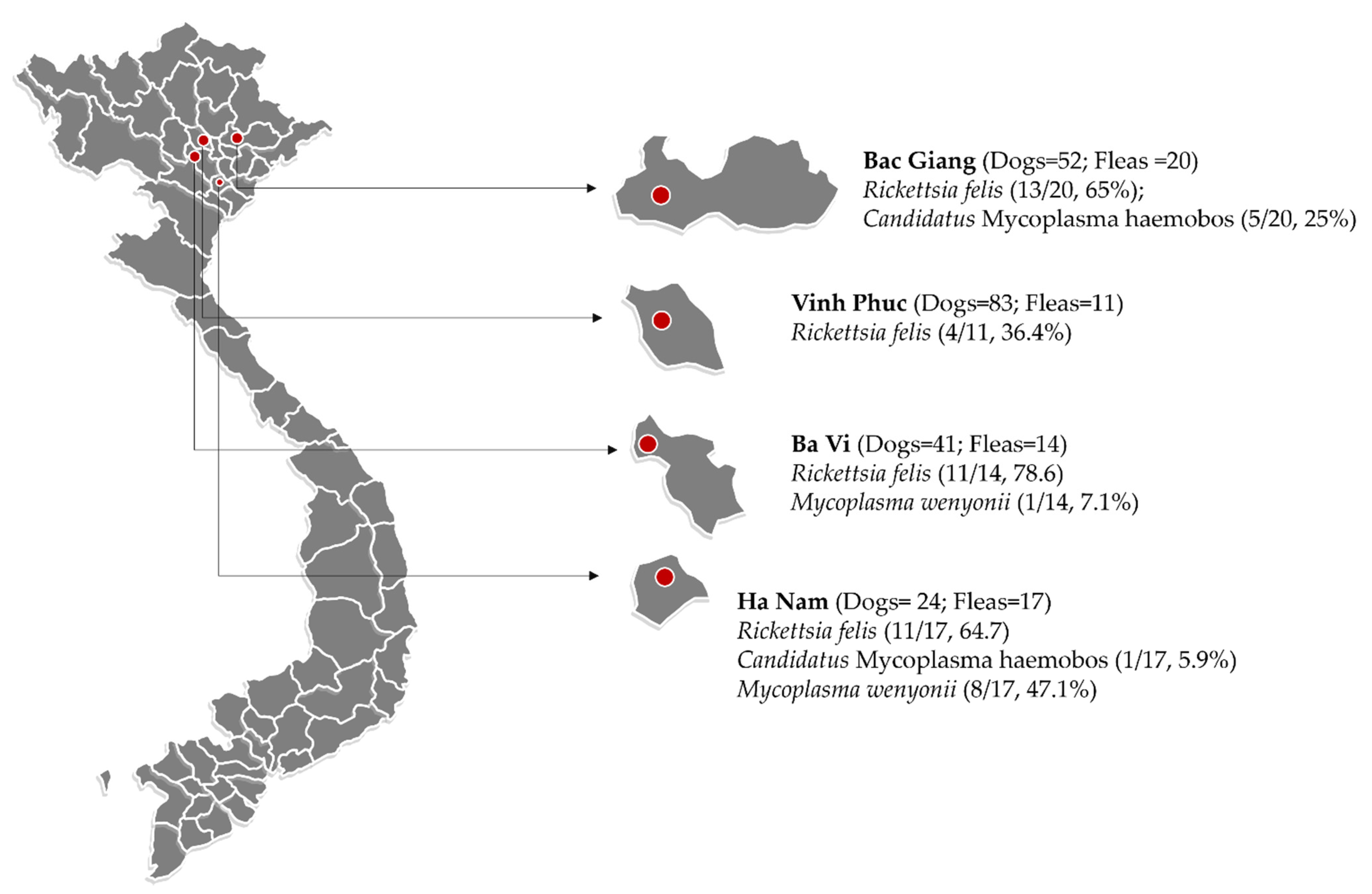 Pathogens 10 01185 g003