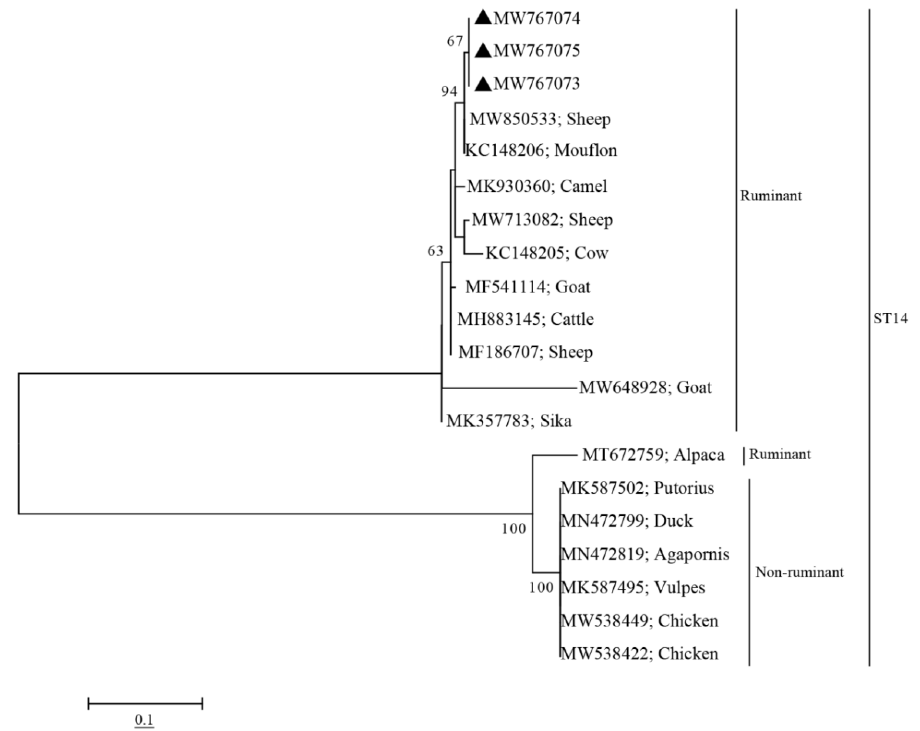 Pathogens 10 01189 g002 550