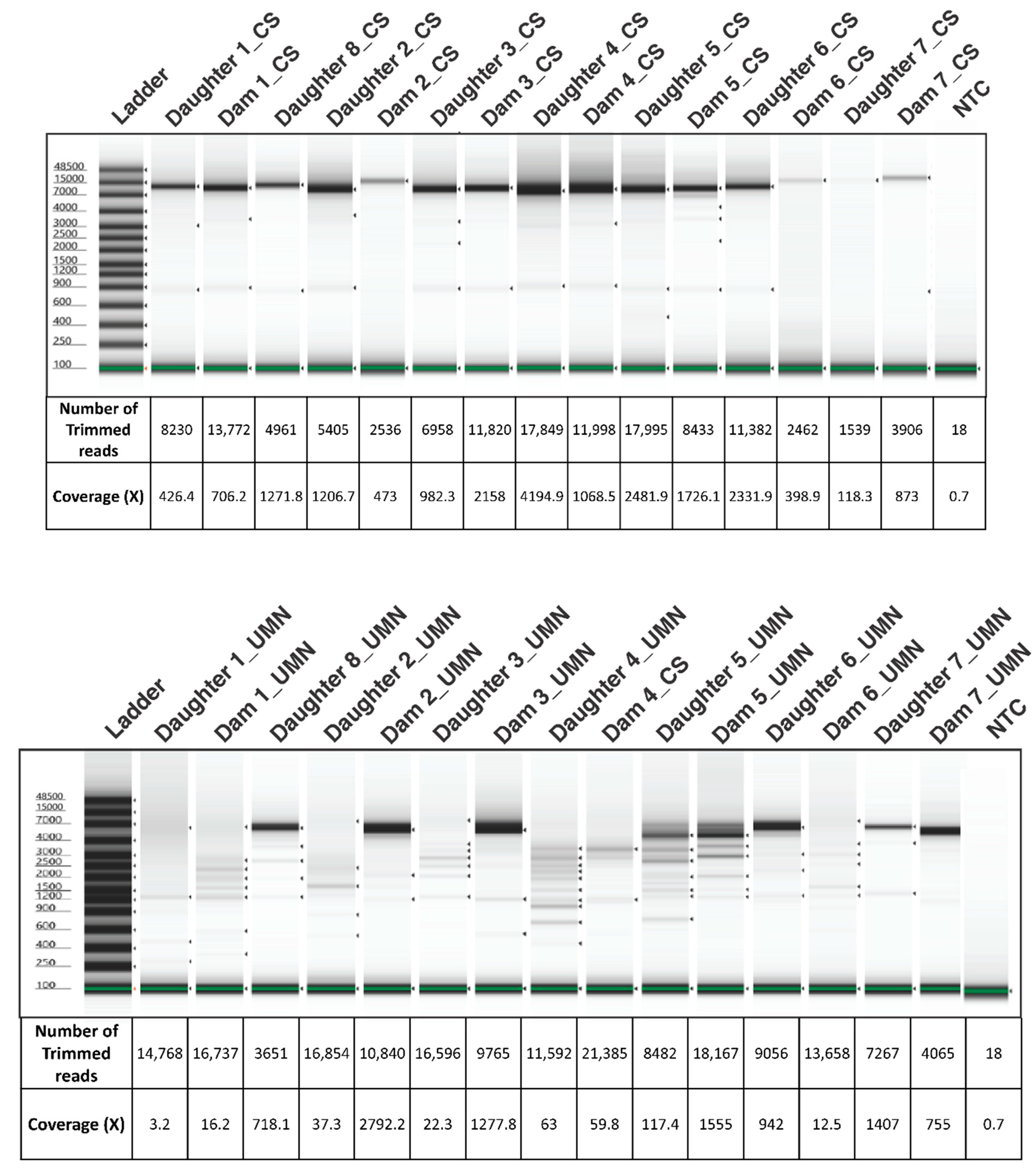 Pathogens 10 01191 g003 Pathogens 10 01191 g003