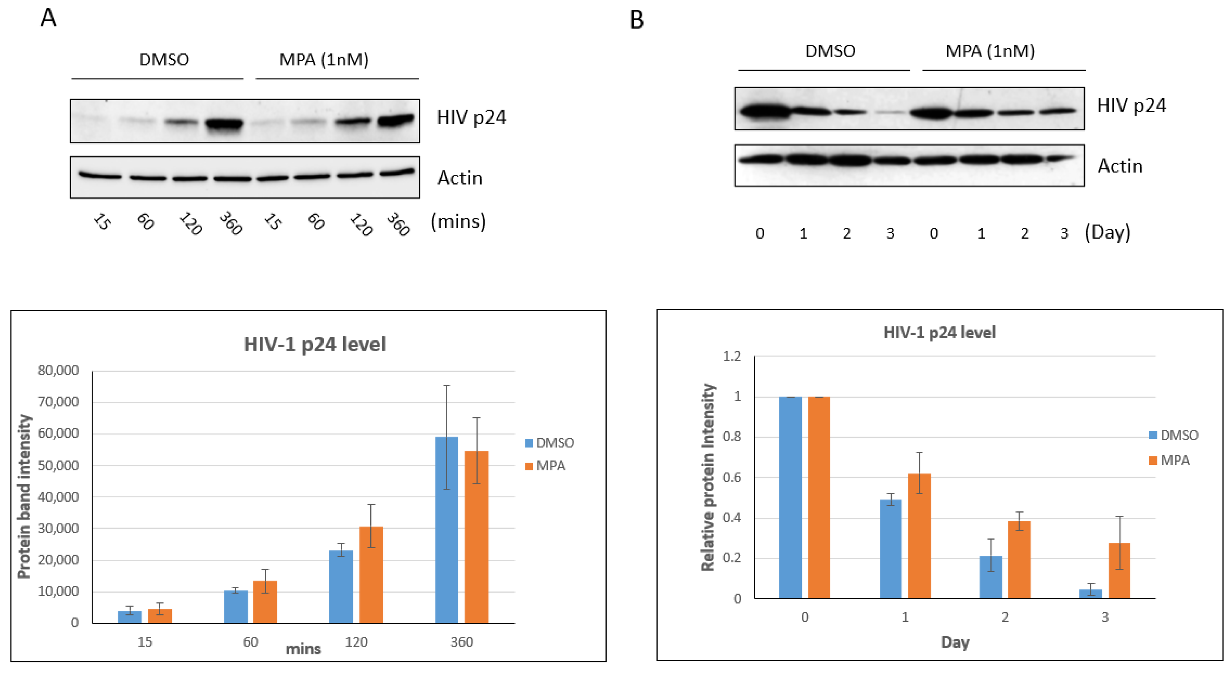 Pathogens 10 01192 g001 Pathogens 10 01192 g001