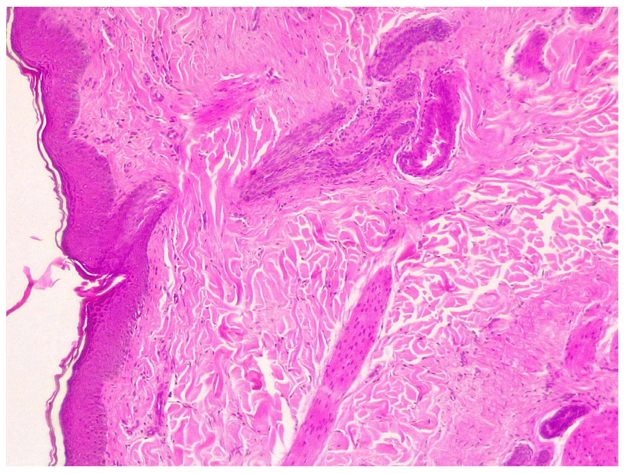 Pathogens 10 01193 g003