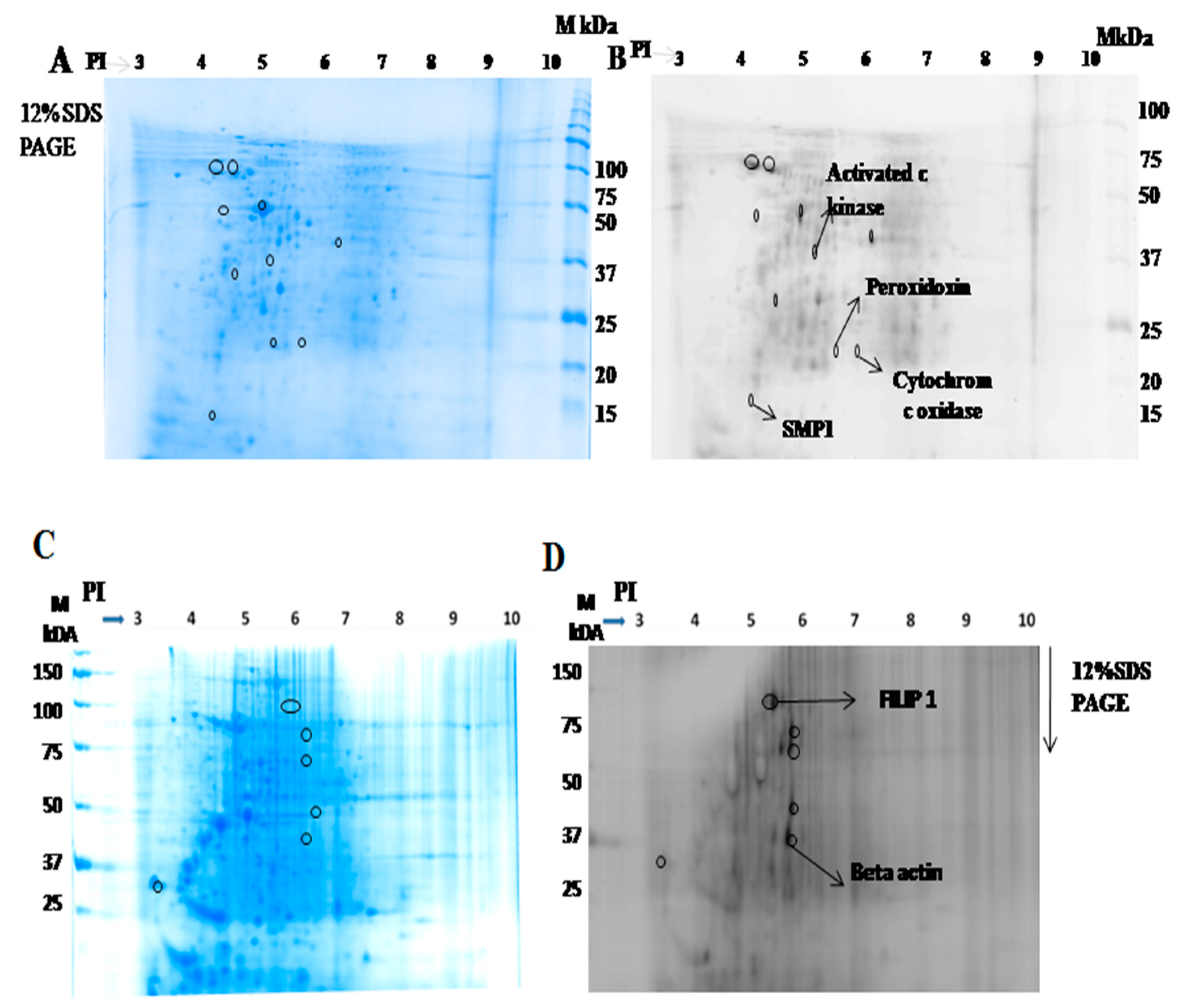 Pathogens 10 01194 g002 Pathogens 10 01194 g002