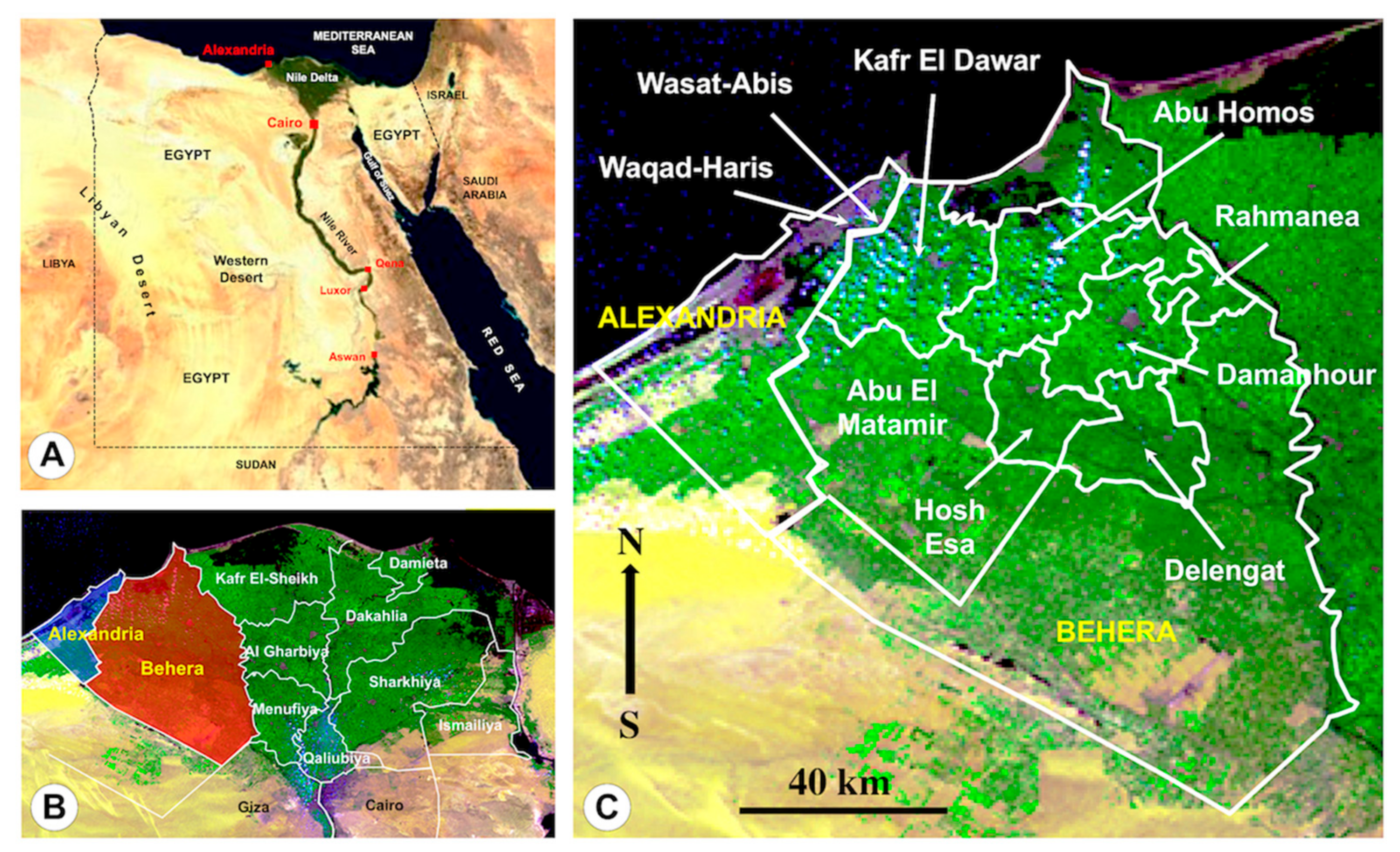Pathogens 10 01210 g001