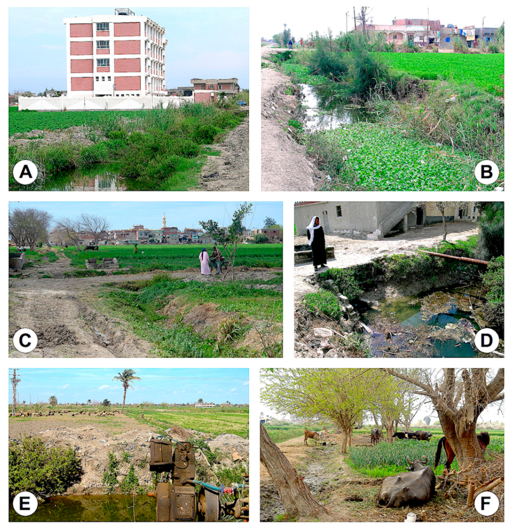 Pathogens 10 01210 g002