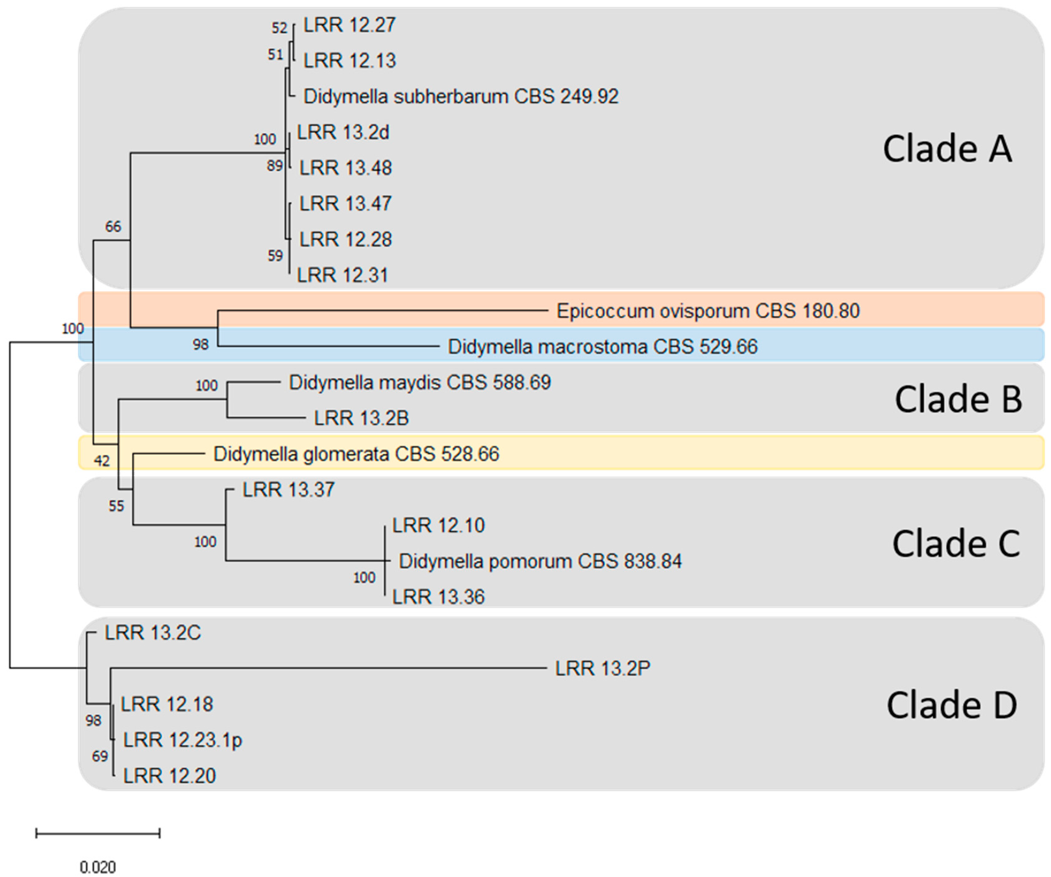 Pathogens 10 01216 g004 Pathogens 10 01216 g004